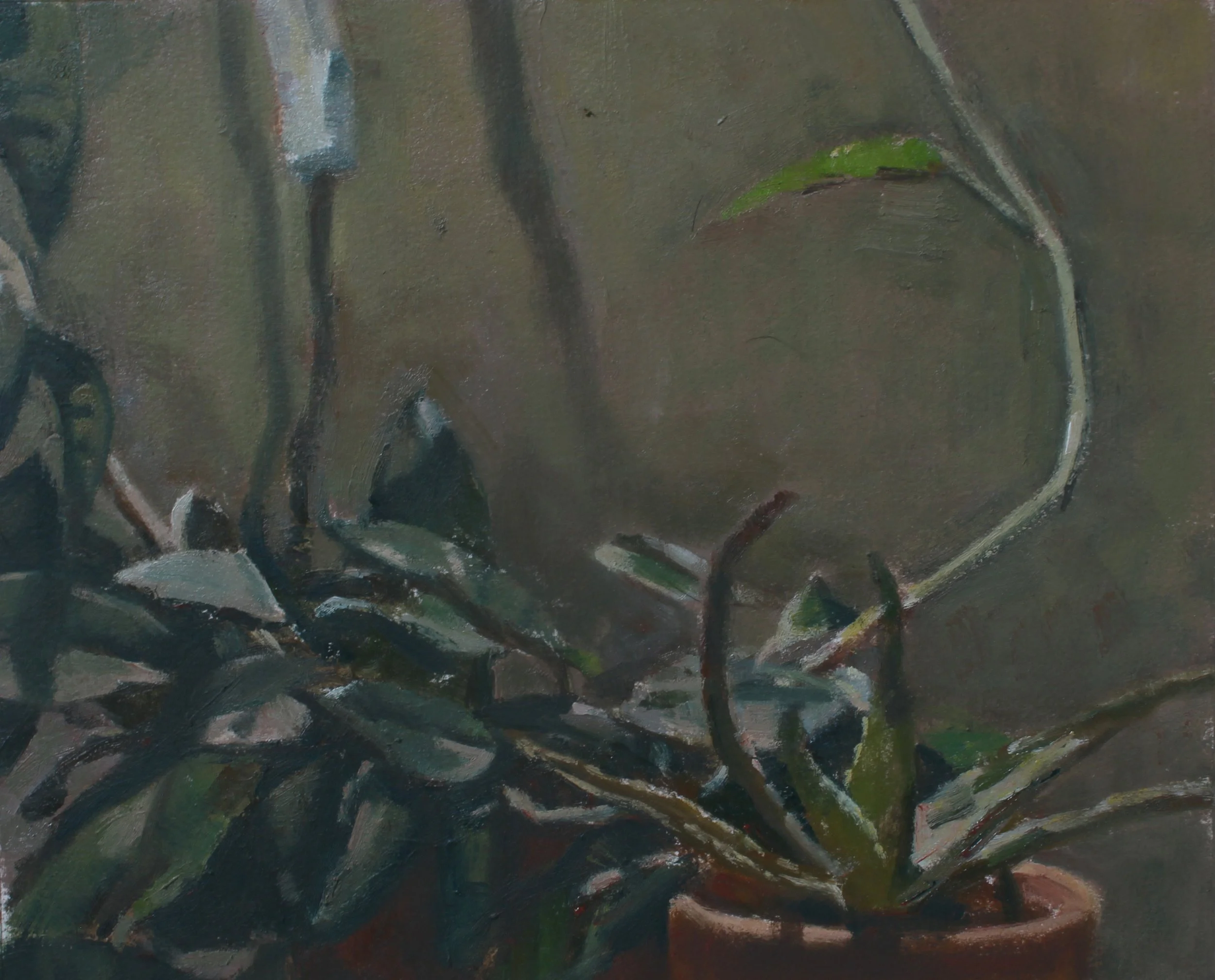 utsikt fra sofaen.jpg