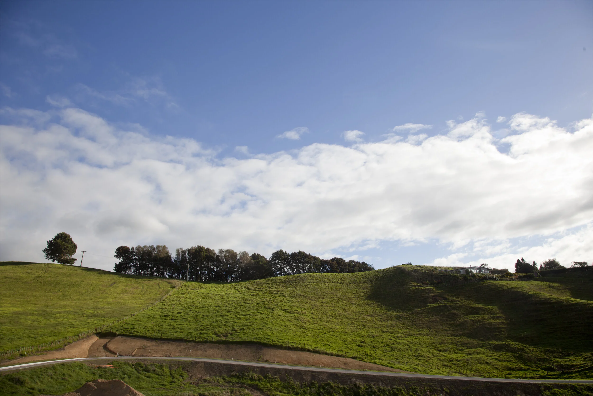 IMG_6903 as Smart Object-1 copy.jpg