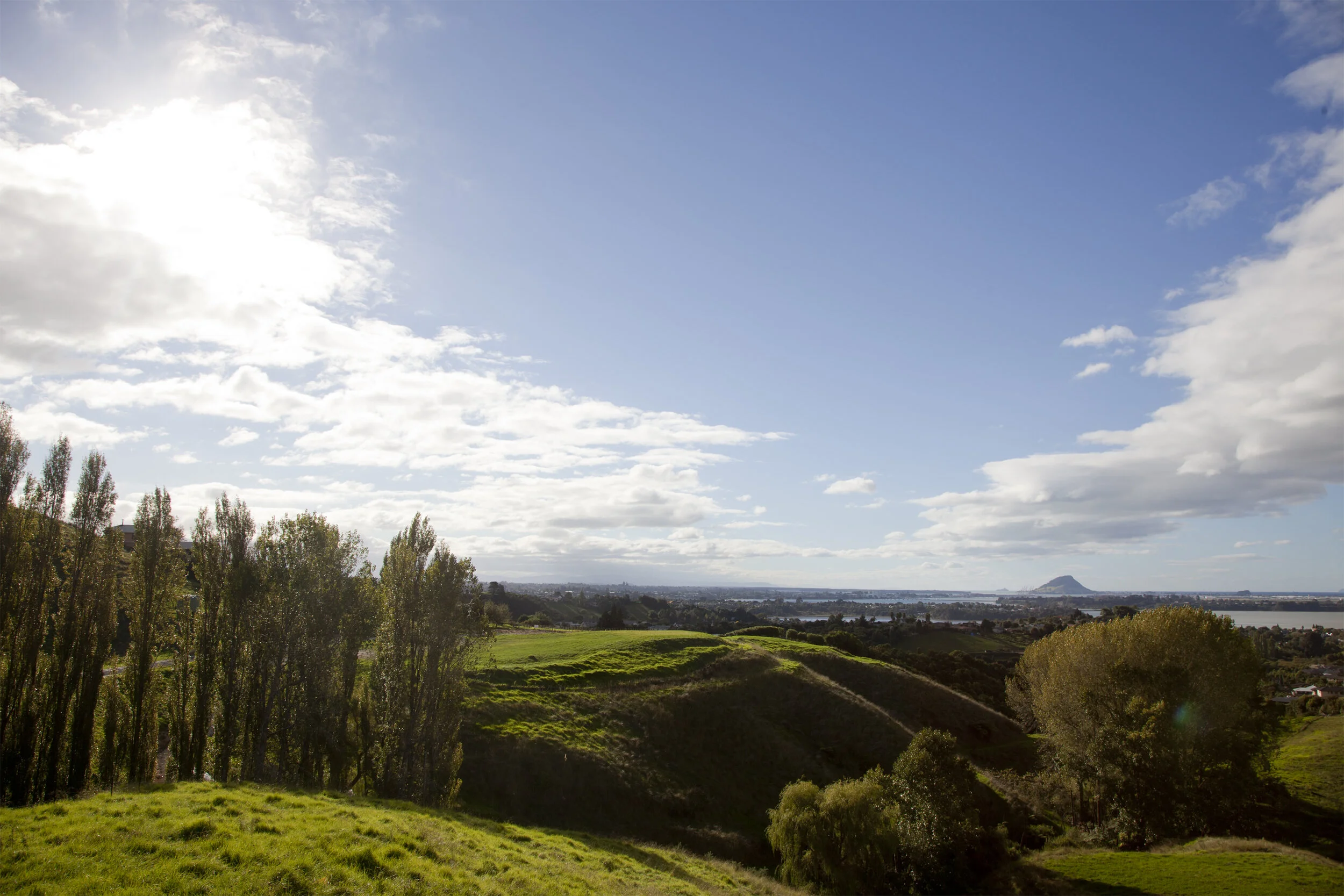 IMG_6902 as Smart Object-1.jpg