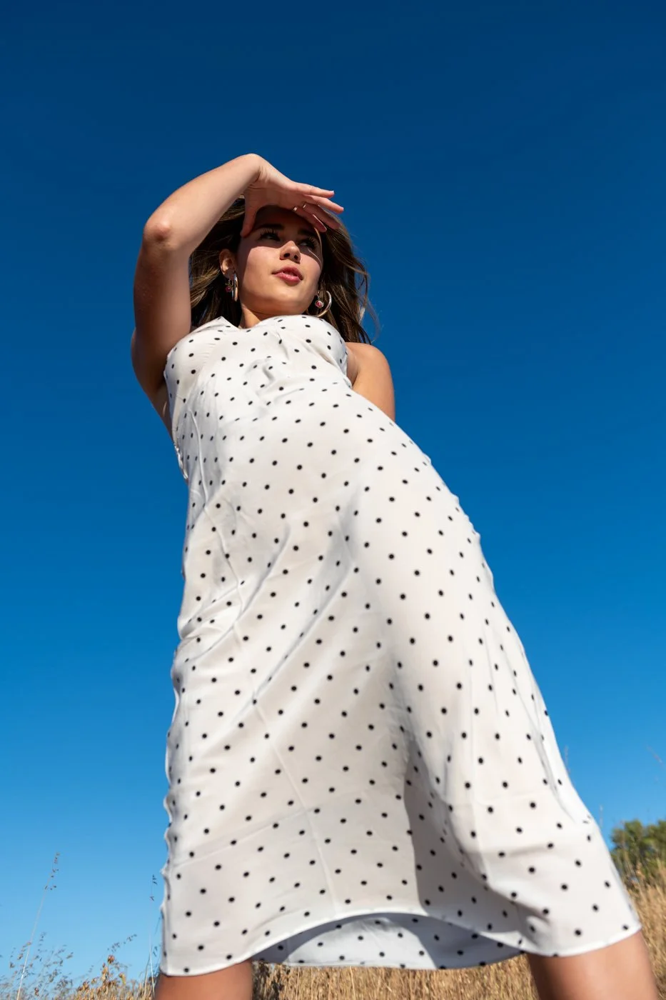 018-woman-in-polka-dot-dress-high-end-fashion-photo.jpg