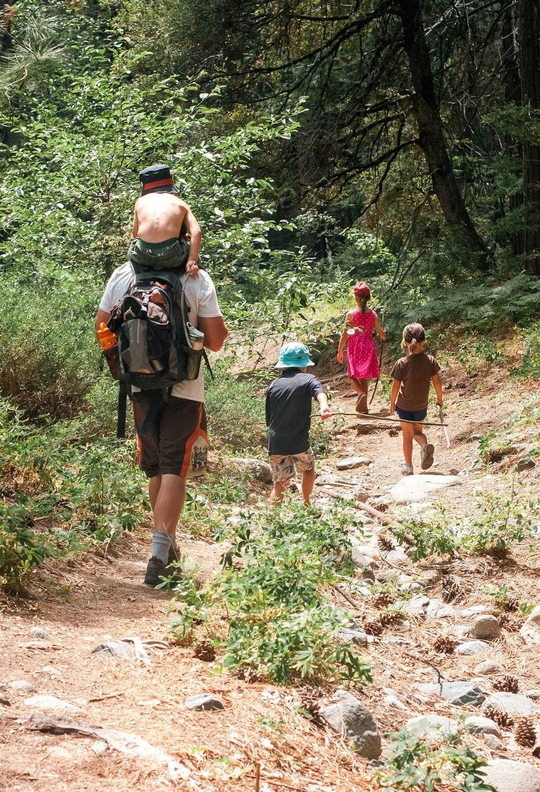 010-family-hiking-in-forest-authentic-lifestyle-images.jpg