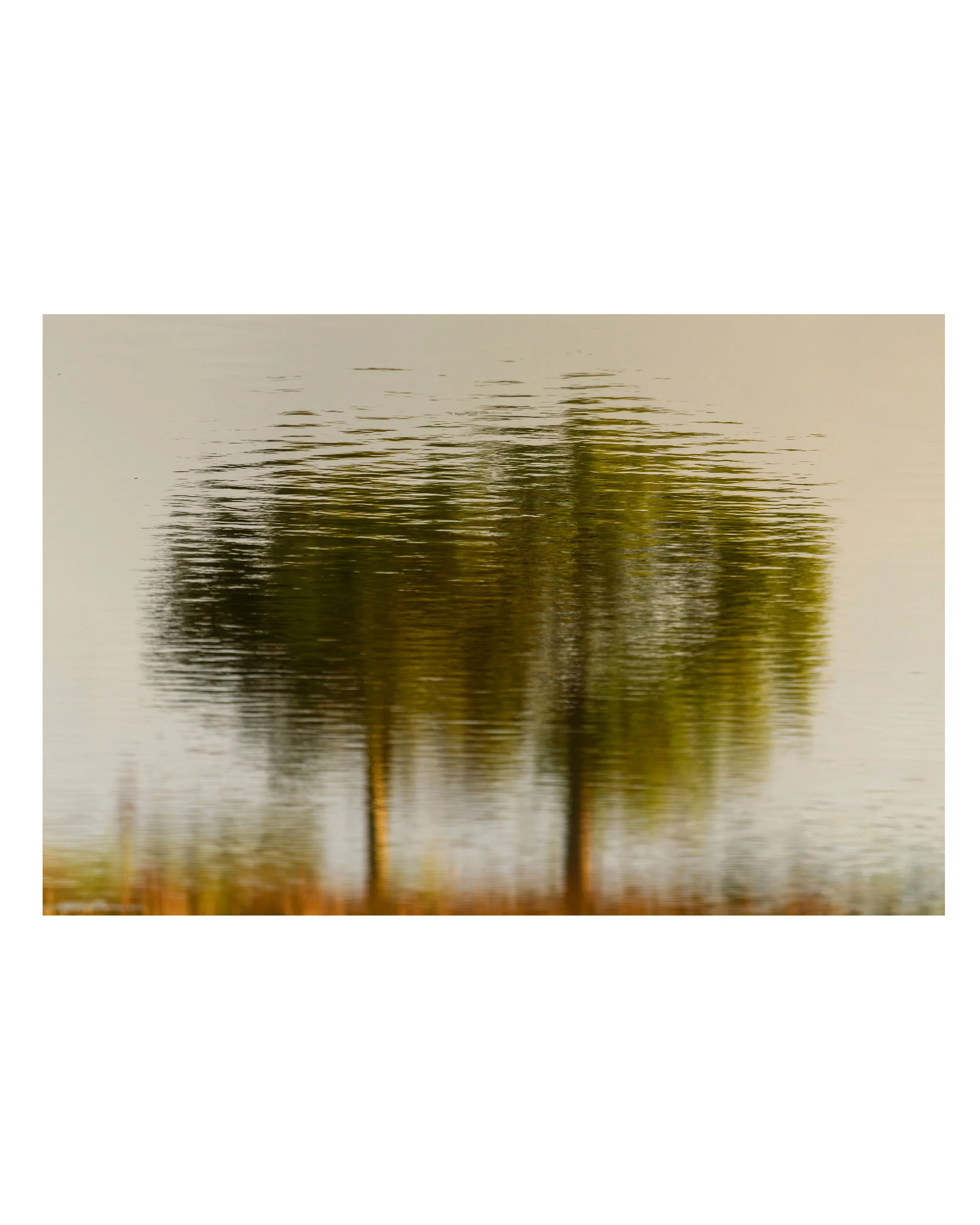 Standing-Together-On-The-Surface-b-GinaRisso-S copy.jpg