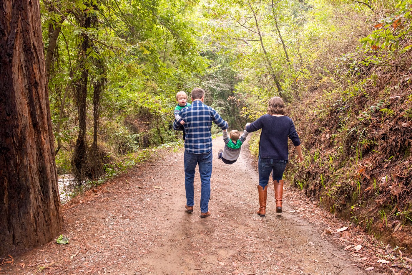 A family of four walking through a wooded trail, with the father carrying a young boy, one boy swinging between the parents, and the mother holding his other hand, surrounded by green trees and a dirt path.