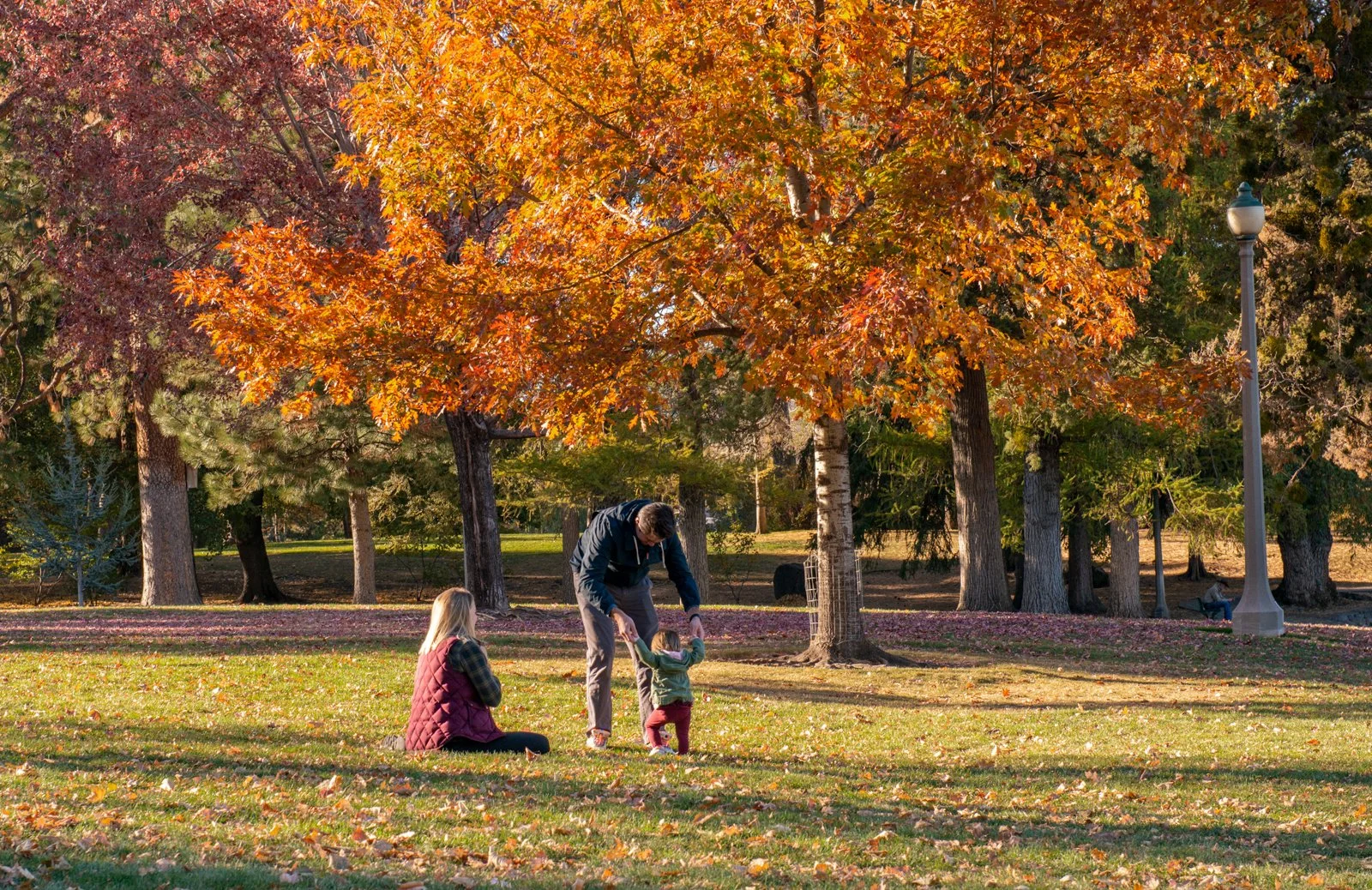 A family enjoying autumn in a park with vibrant orange and red fall trees. A woman is seated on the grass, a man is helping a young child stand, and there is a lamppost and other trees in the background.