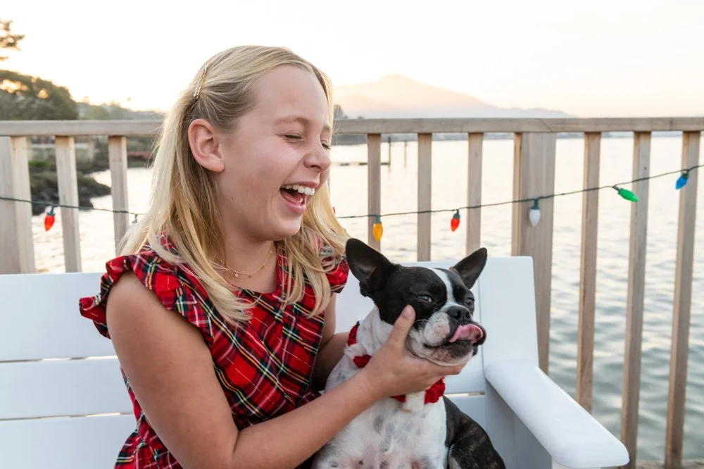 A young girl in a red plaid dress laughing and holding a black and white French Bulldog with its tongue out on a white bench outside near water at sunset.