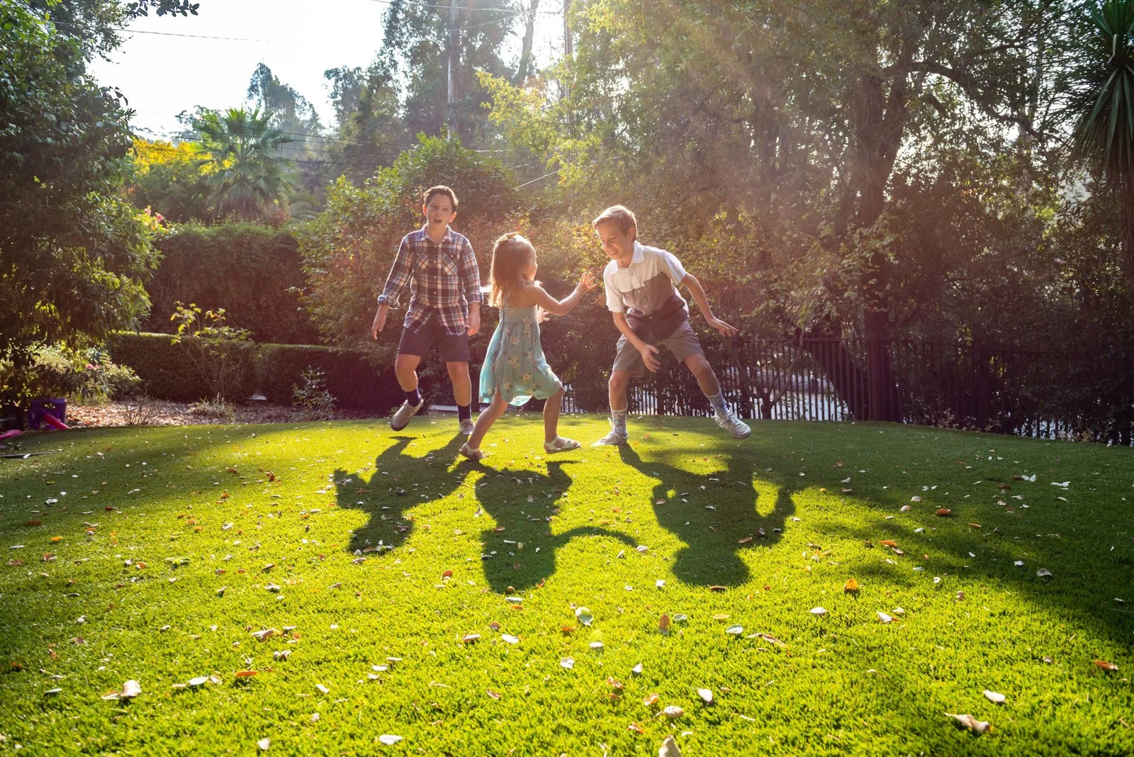 Four children playing on a sunlit grassy lawn surrounded by trees and bushes, with shadows cast on the ground.