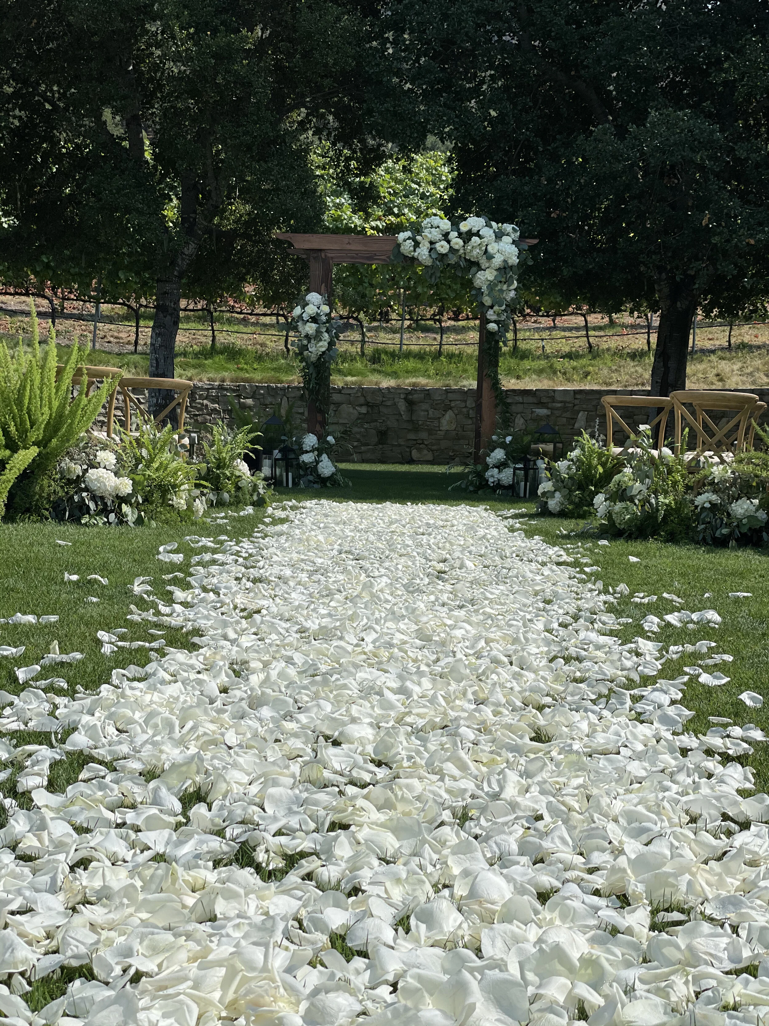3.aisle petal ceremony arch arbor.jpg