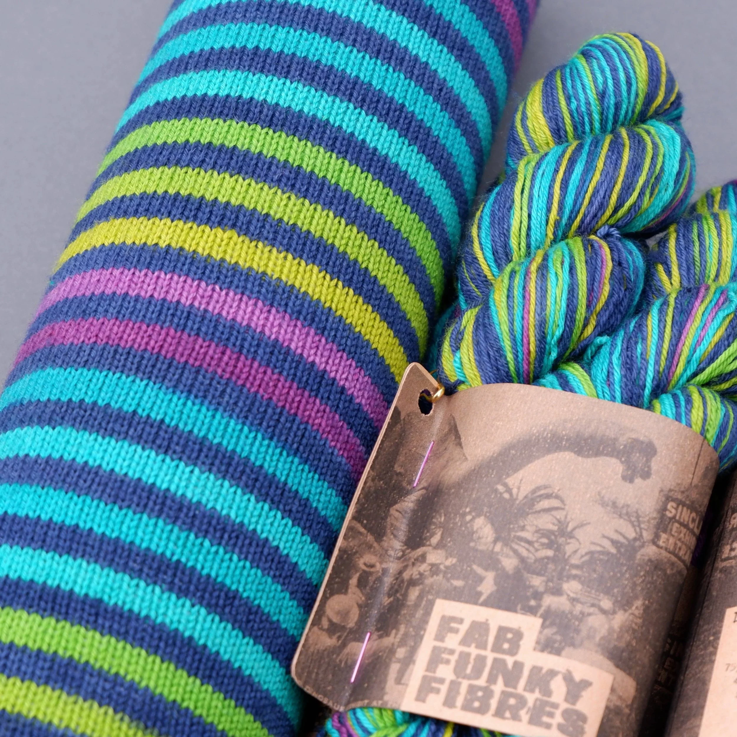 Day Trip To Dino Land