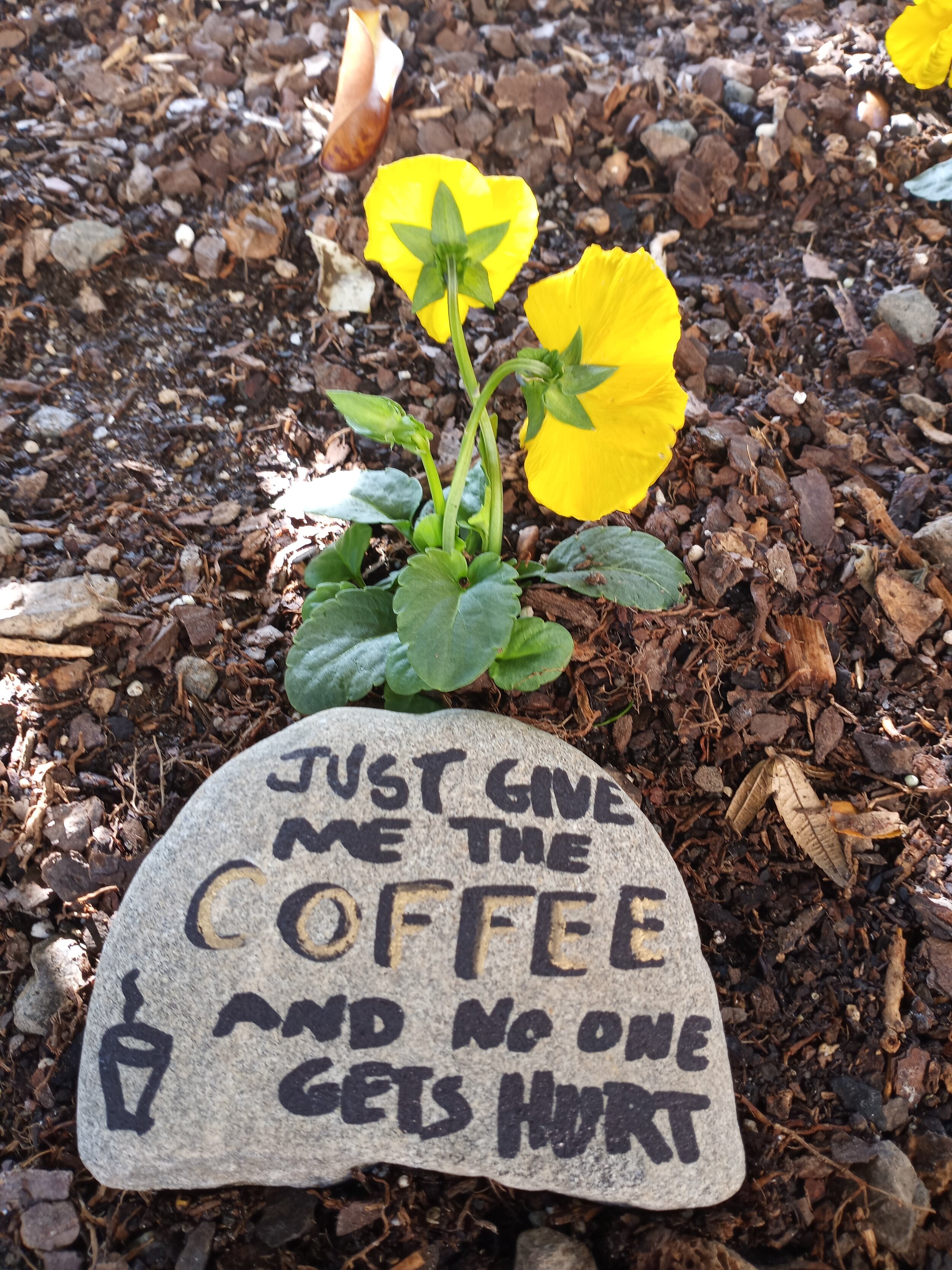 "Give Me The Coffee" Mod Glyphs