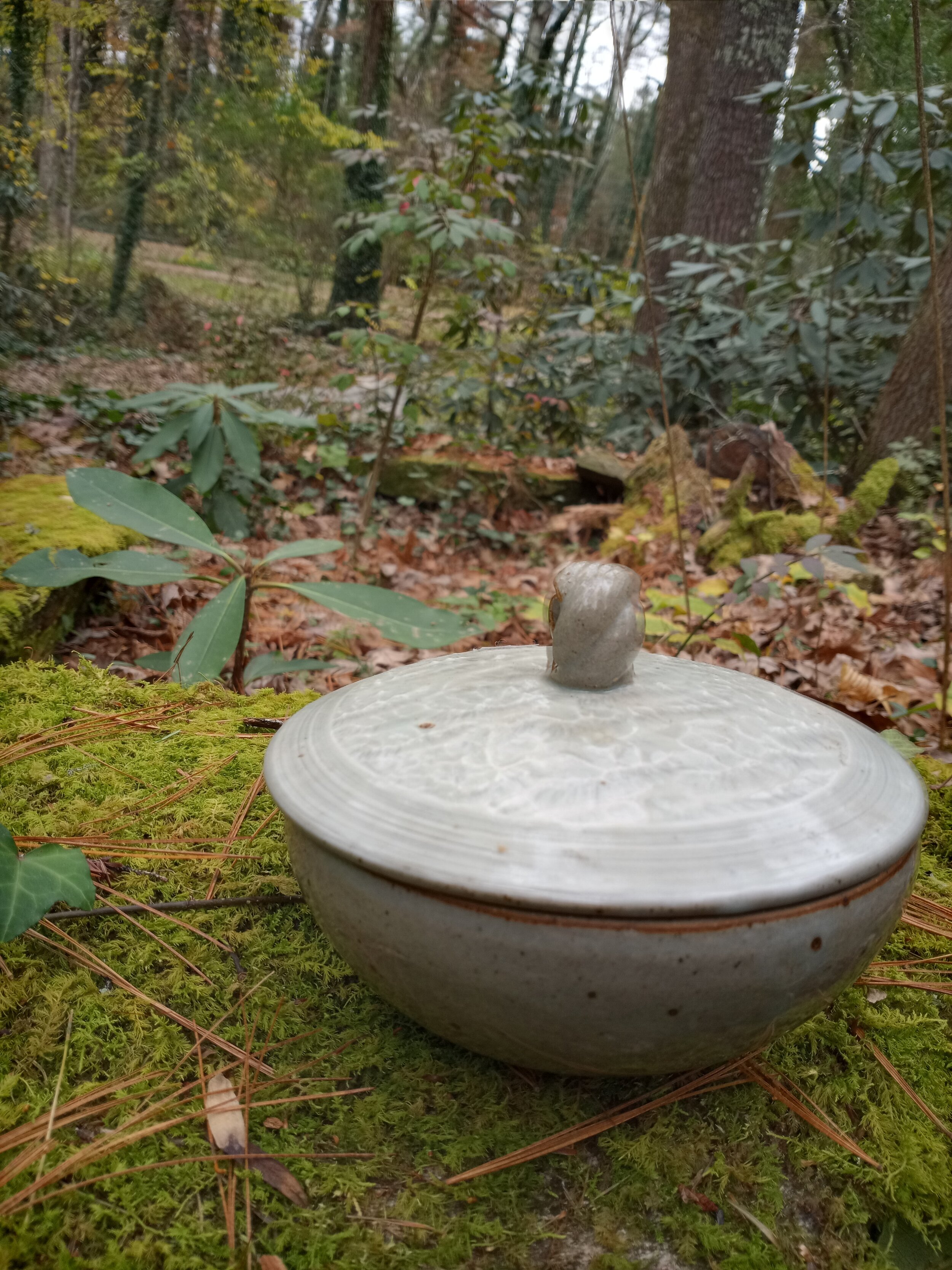 Lidded Pottery Dish