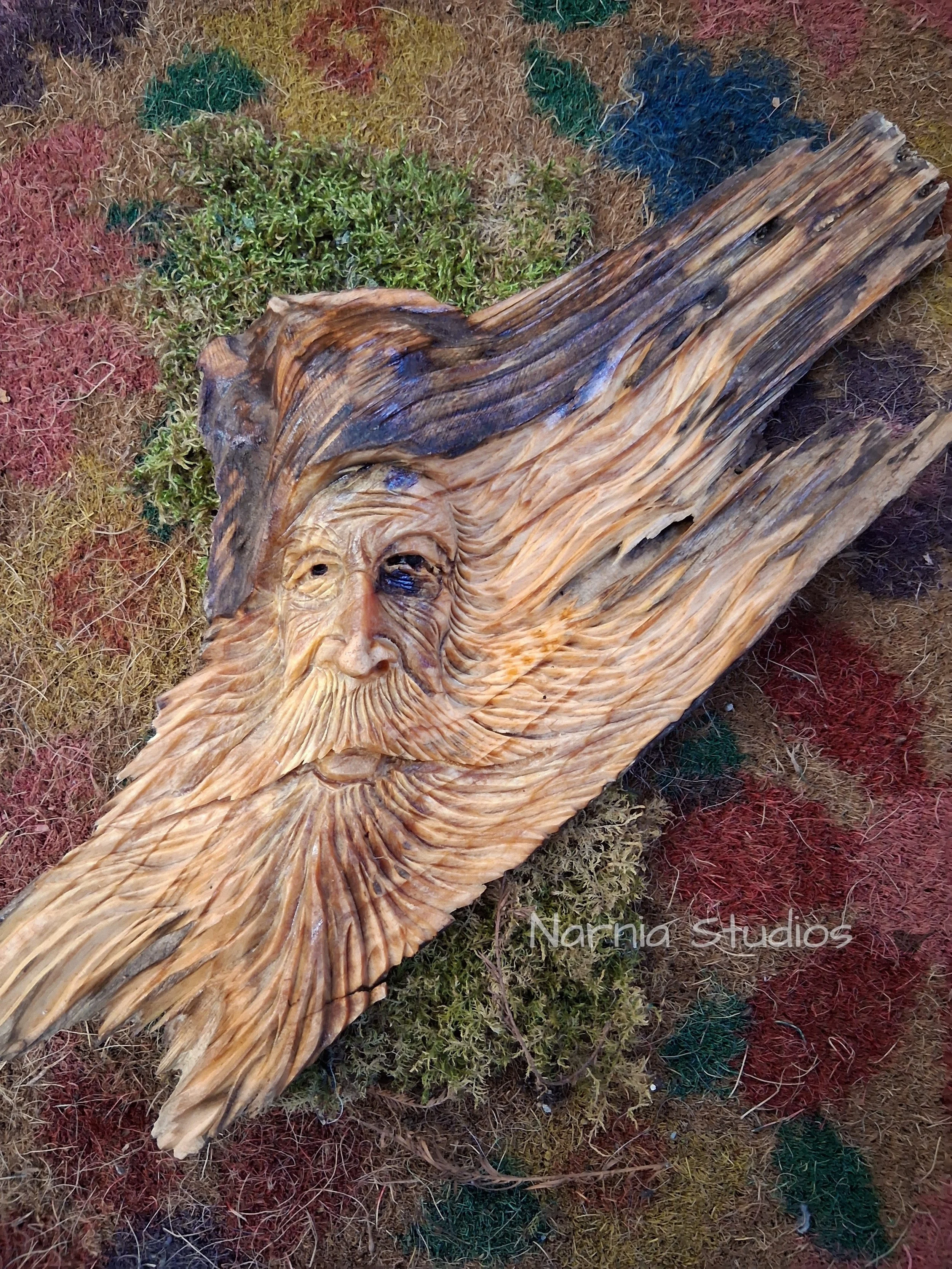 Wood Spirits ~ David