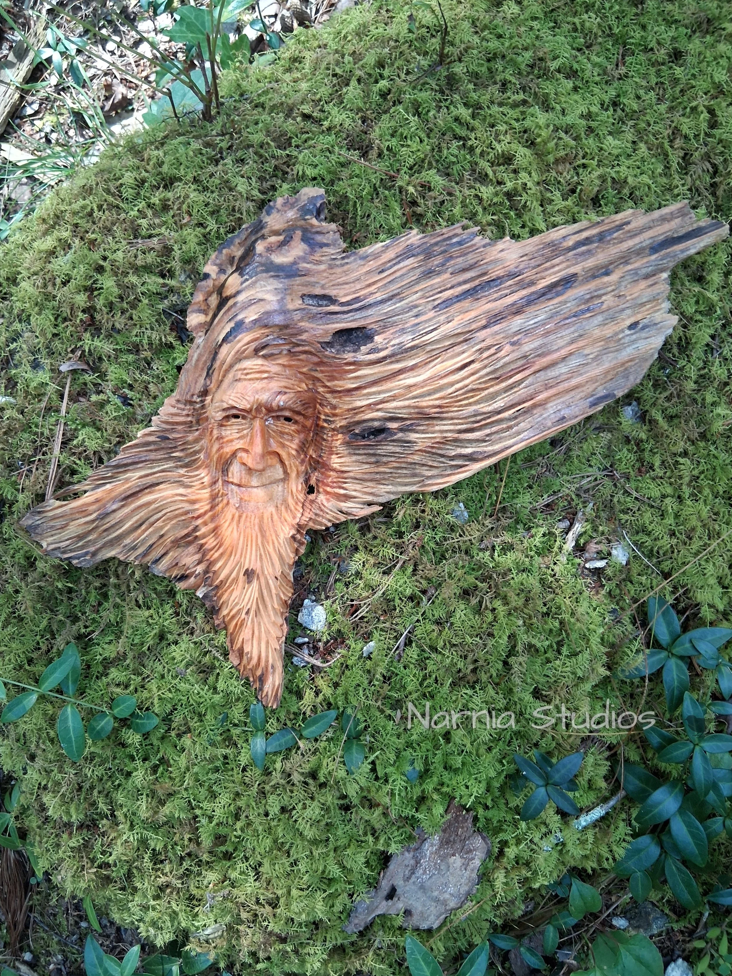 Wood Spirits ~ Daniel