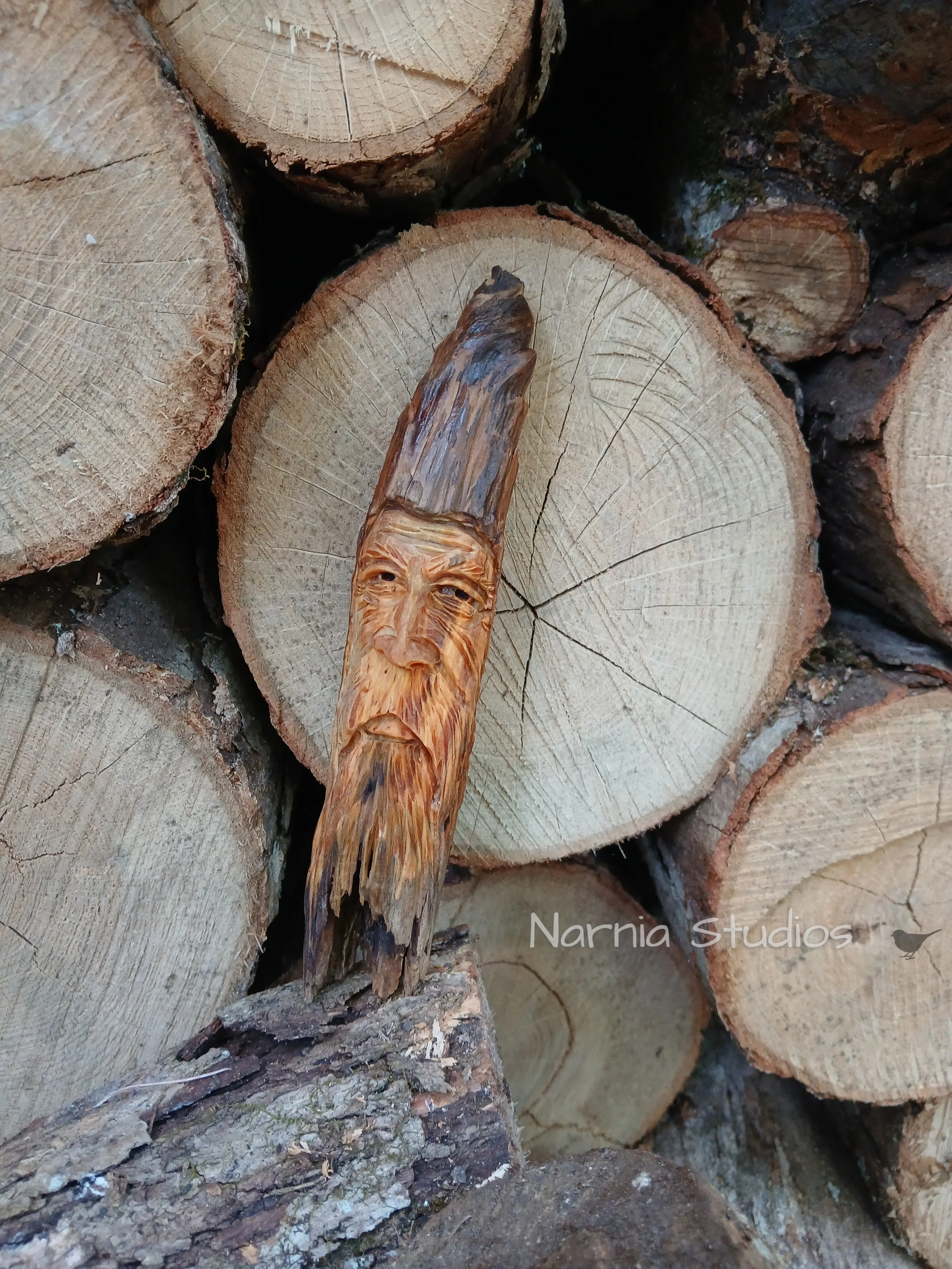 Wood Spirits ~ David