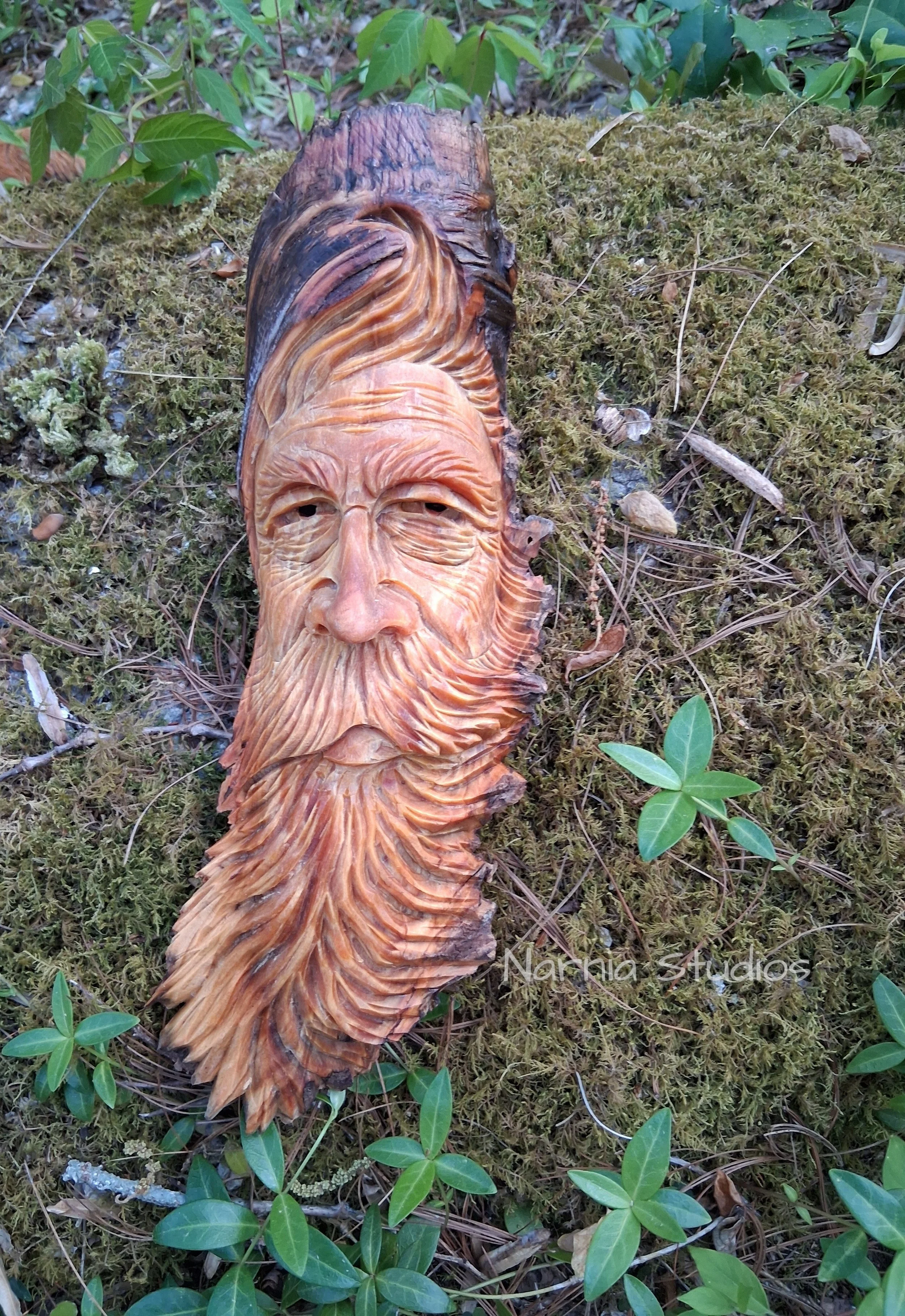 Wood Spirits ~ Andrew