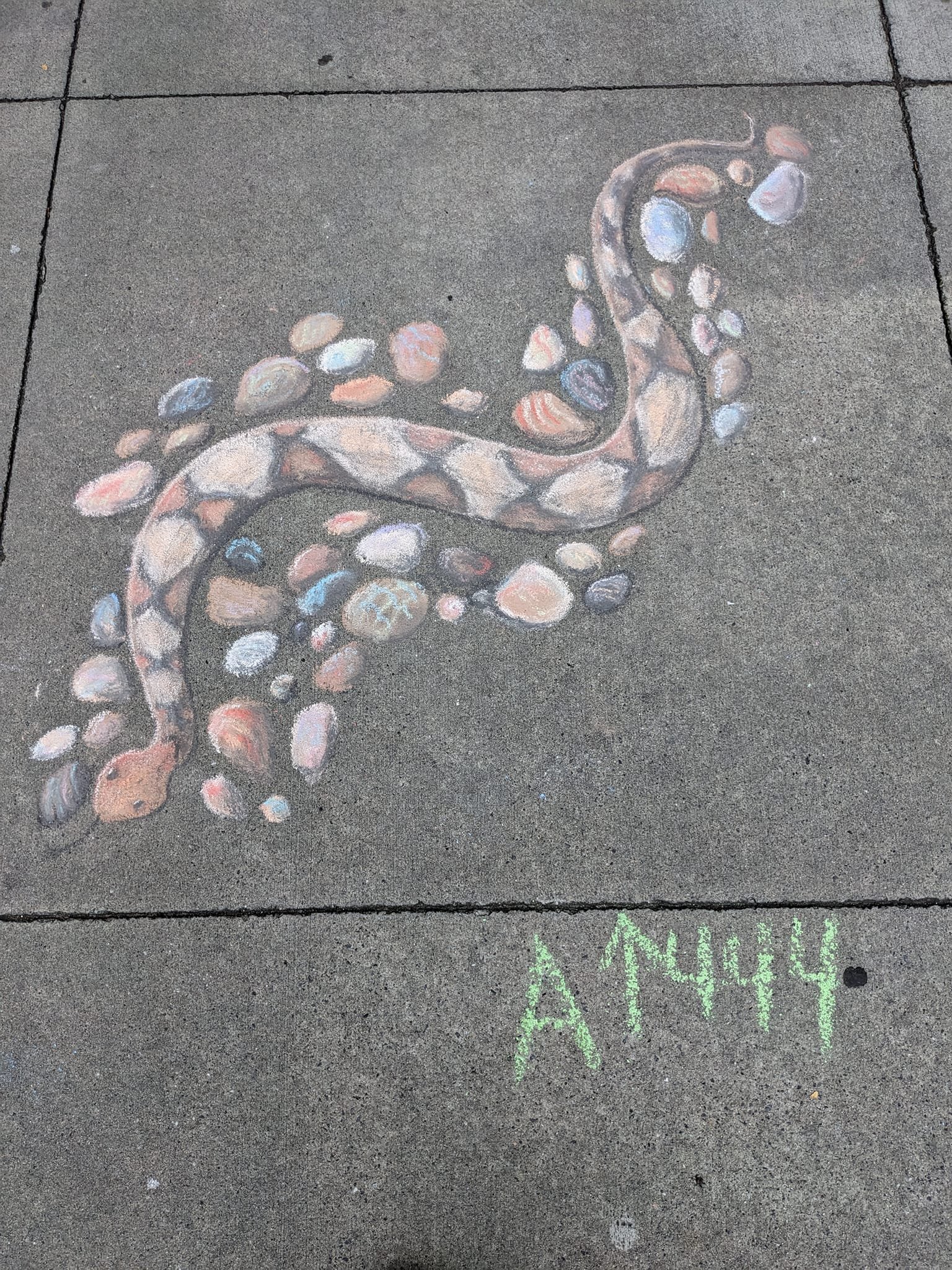 snake-ciu.jpg