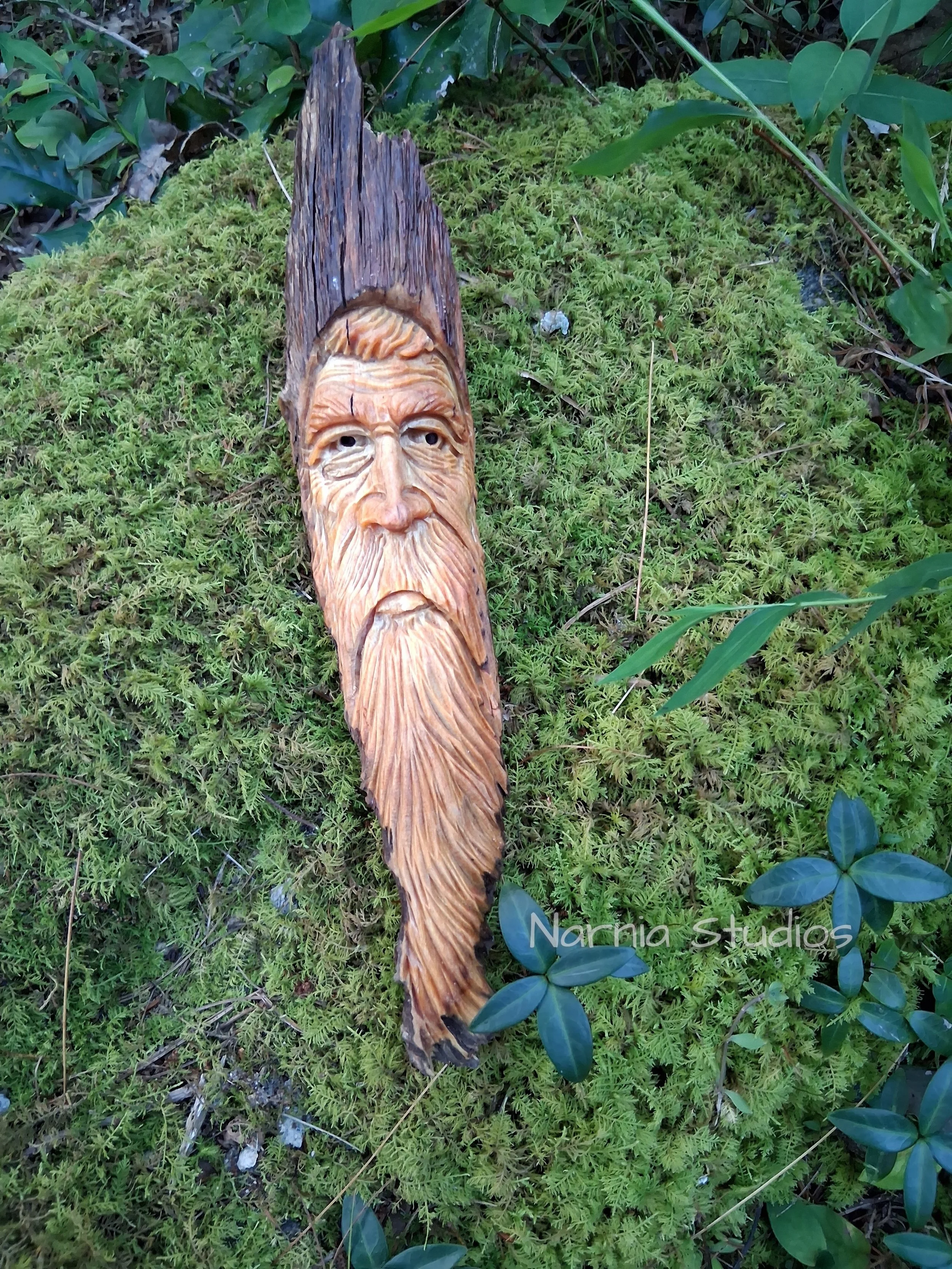Wood Spirits ~ Malachai