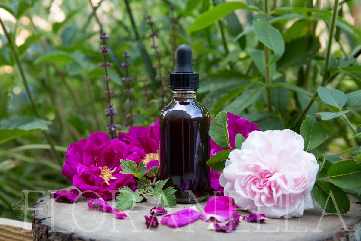 Heart-Centered Elixir Recipe — Floranella