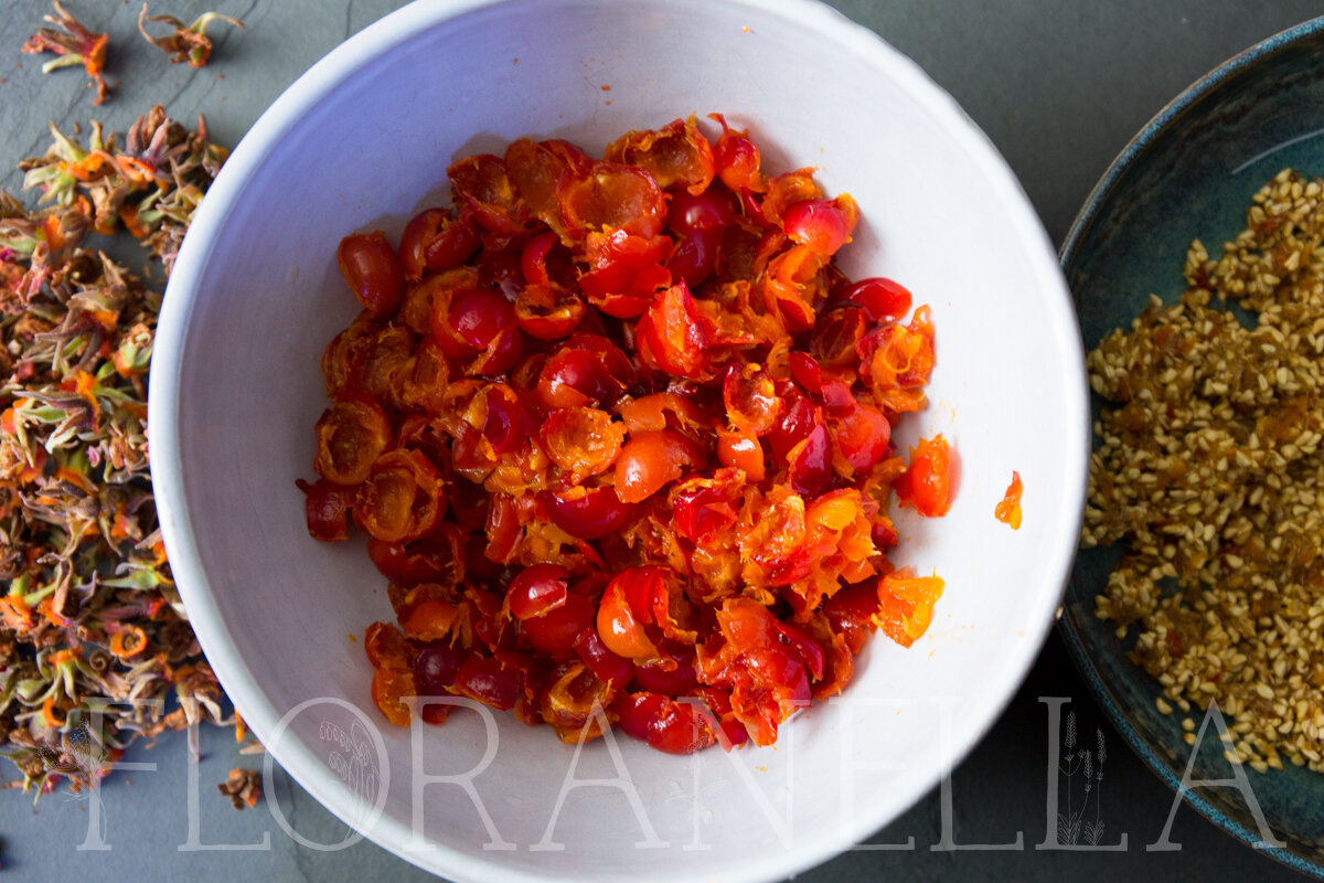 How to Process Rose Hips for Your Apothecary — Floranella