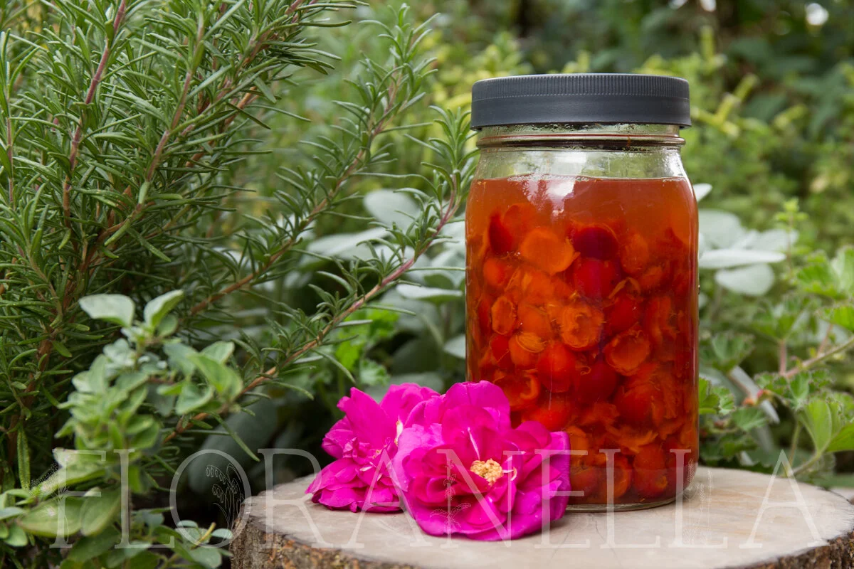 How to Process Rose Hips for Your Apothecary — Floranella