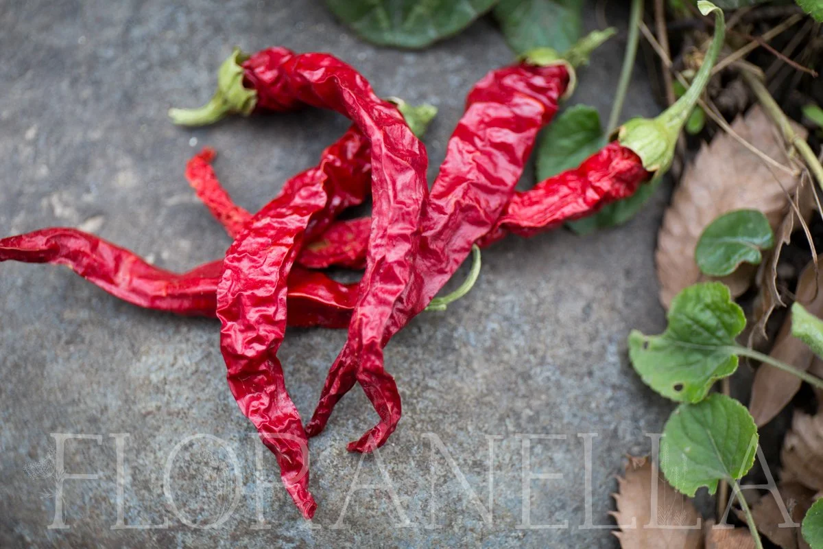 Cayenne Root How to Grow Cayenne — Floranella