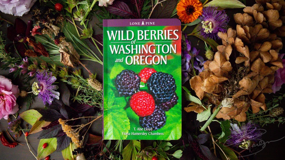 Book Review: Wild Berries of Washington and Oregon by T. Abe Lloyd and ...
