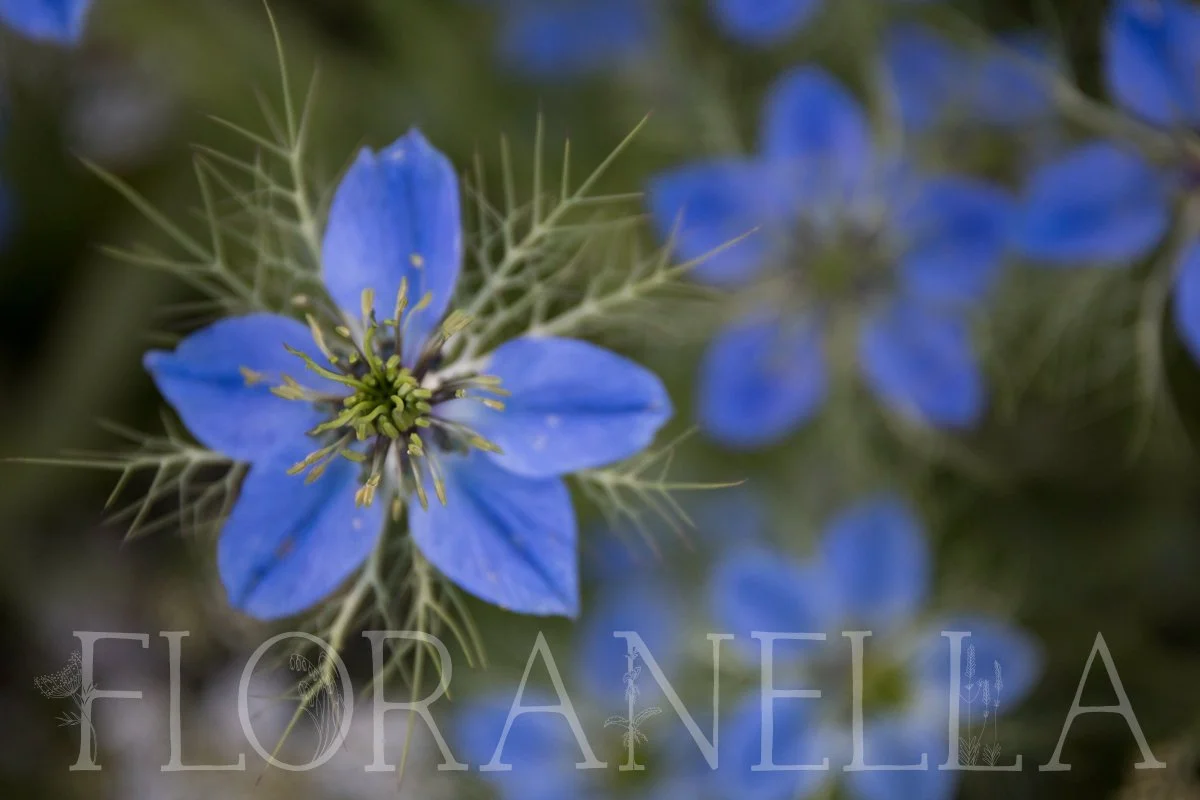 Hydrafacial Benefits for Acne: Acne-Prone Skin Effects