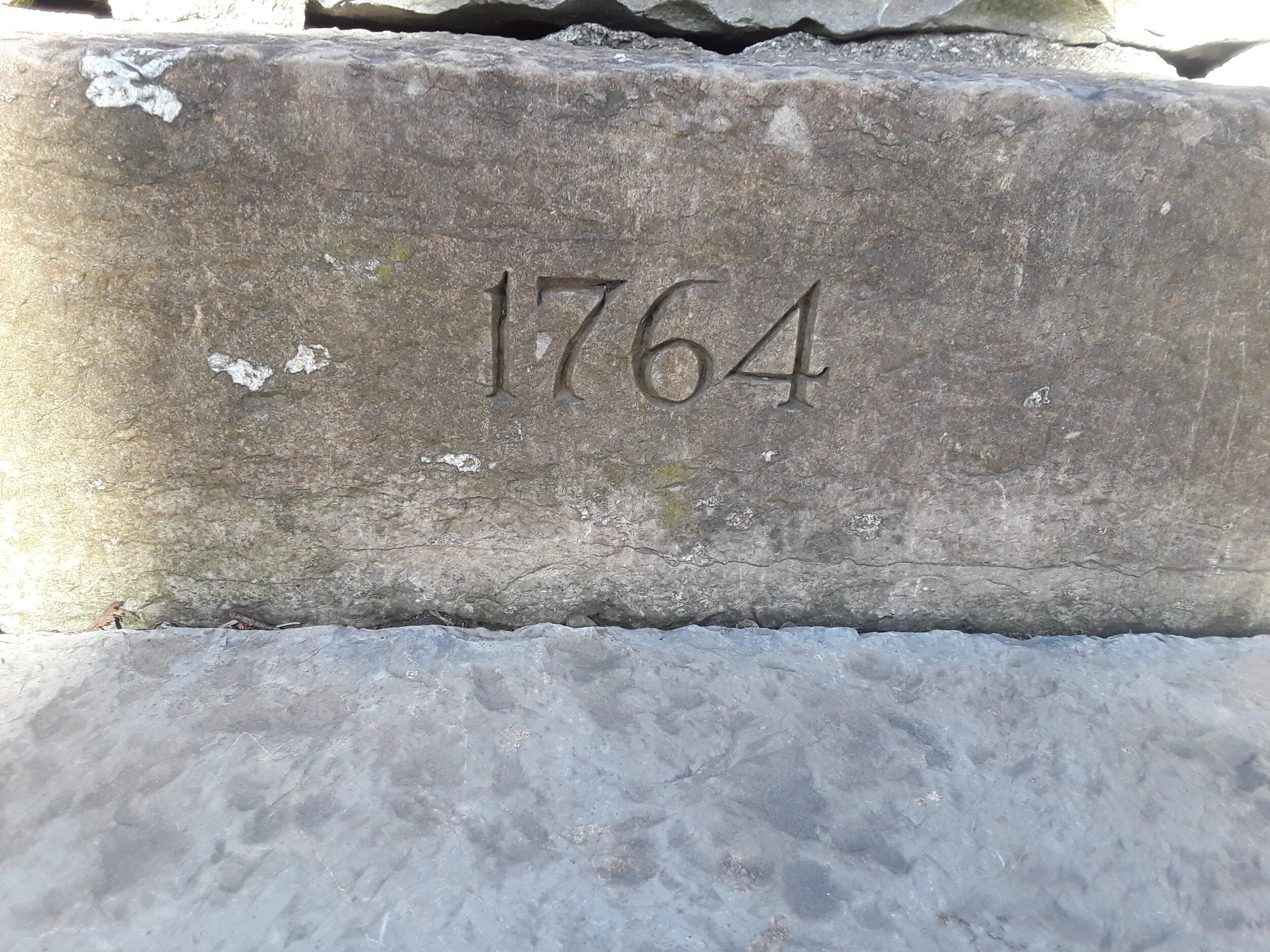 1764.jpg