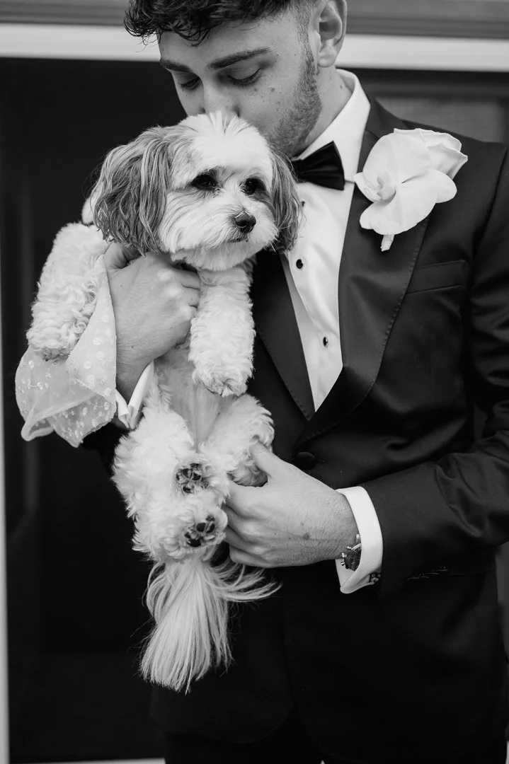 A man dressed in a tuxedo holding a small dog with curly fur, dressed in a decorative outfit, in a formal setting.