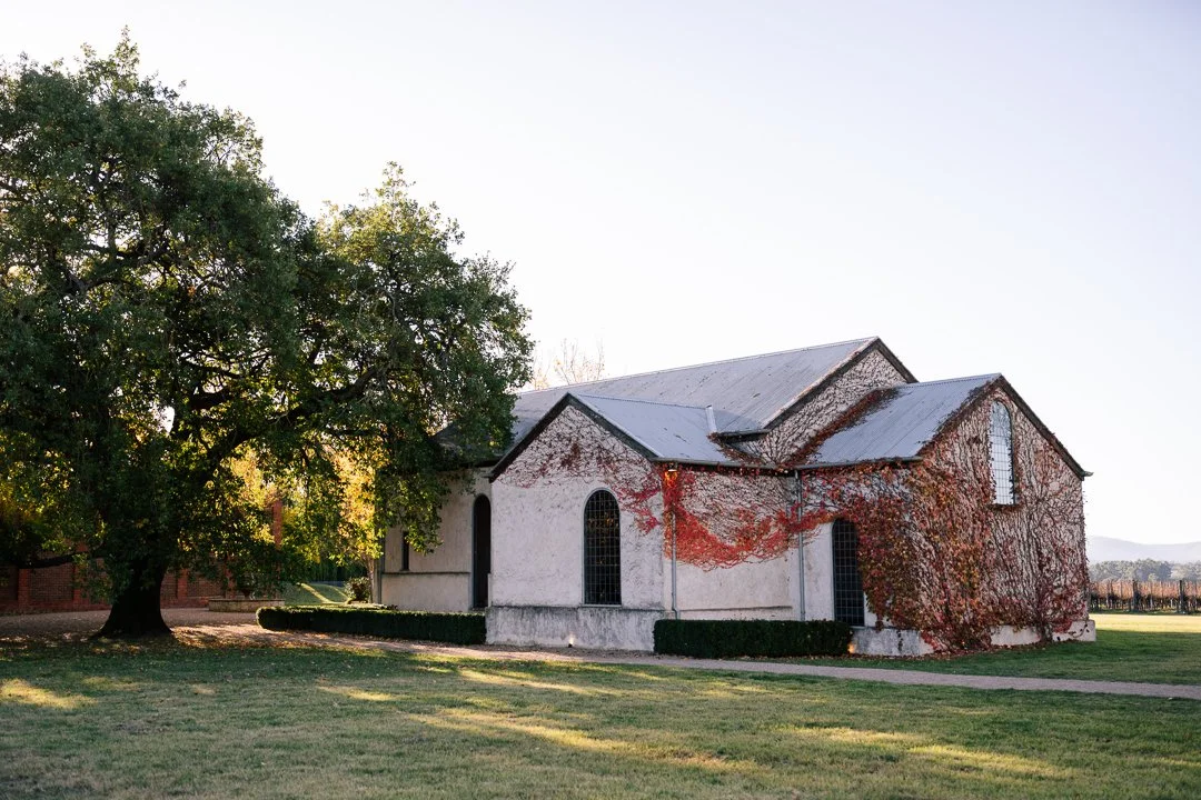 A small, white church with arched windows, surrounded by a large tree, green grass, and vines on the building, during daylight.