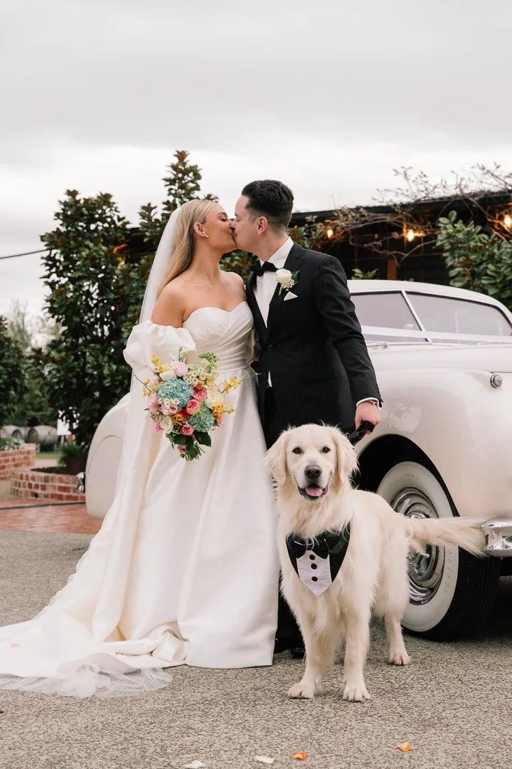 A bride and groom kiss outdoors next to a vintage white car. The bride wears a white wedding gown and holds a colorful bouquet. The groom is dressed in a black tuxedo with a white shirt and black bow tie. A golden retriever wearing a black bow tie wi
