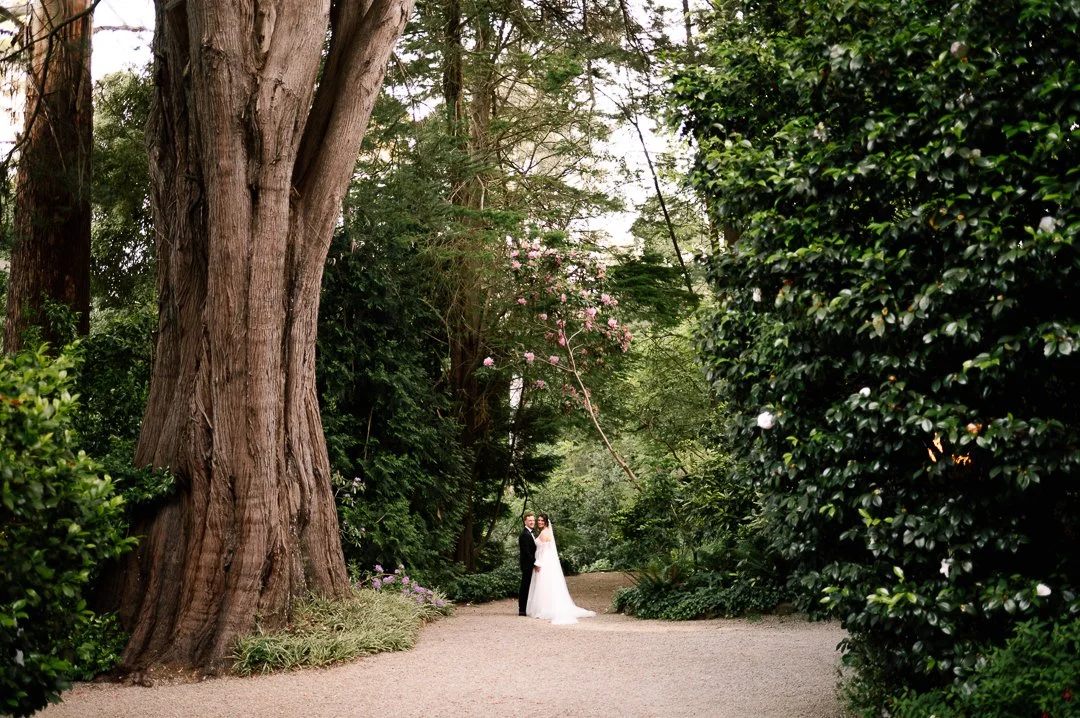 A bride and groom standing close together on a garden path surrounded by lush green trees and plants, with a large tree on the left and pink flowers hanging from a branch overhead.