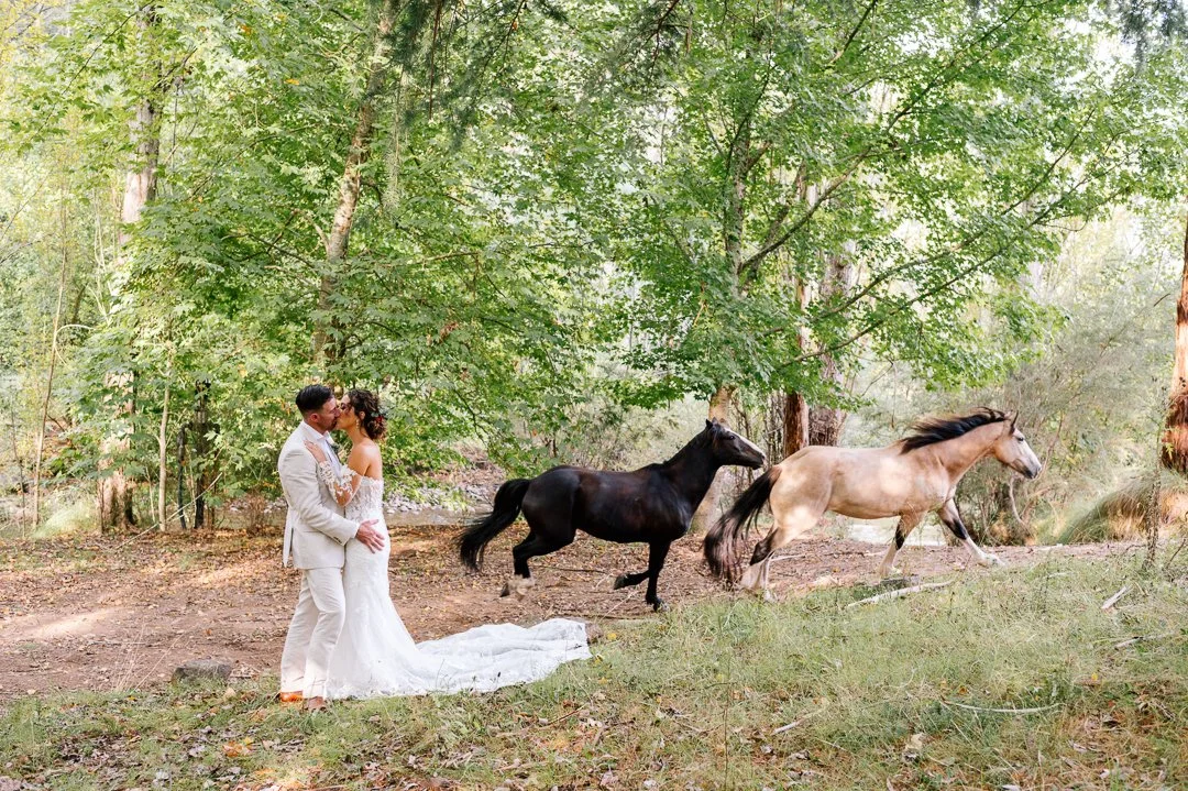 Couple in wedding attire standing in a forest, kissing, with two horses running in front of them, surrounded by green trees.