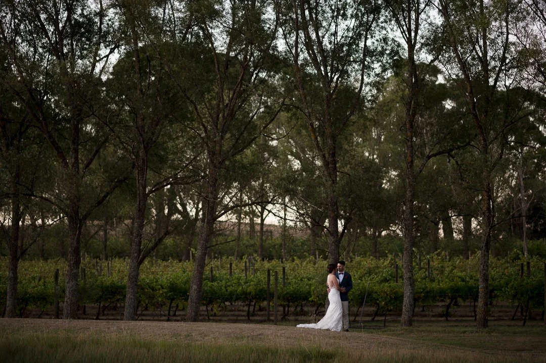A bride and groom standing close together in a vineyard surrounded by tall trees during sunset.