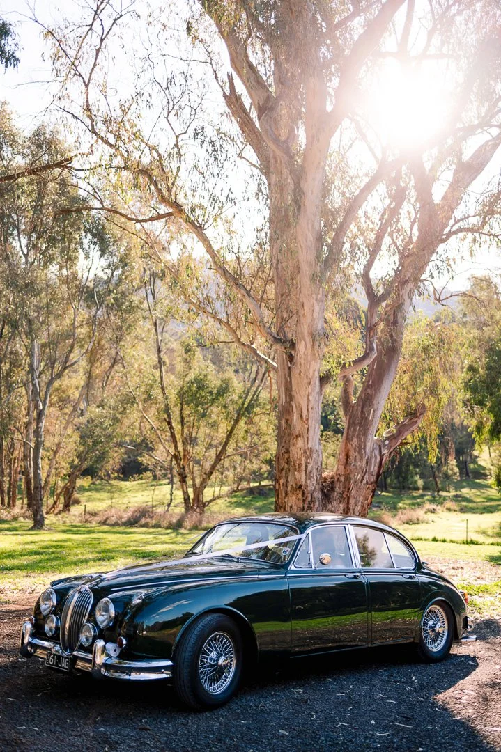 A vintage black car parked on a dirt path under a large tree with sunlight shining through its branches in a grassy park or natural setting.