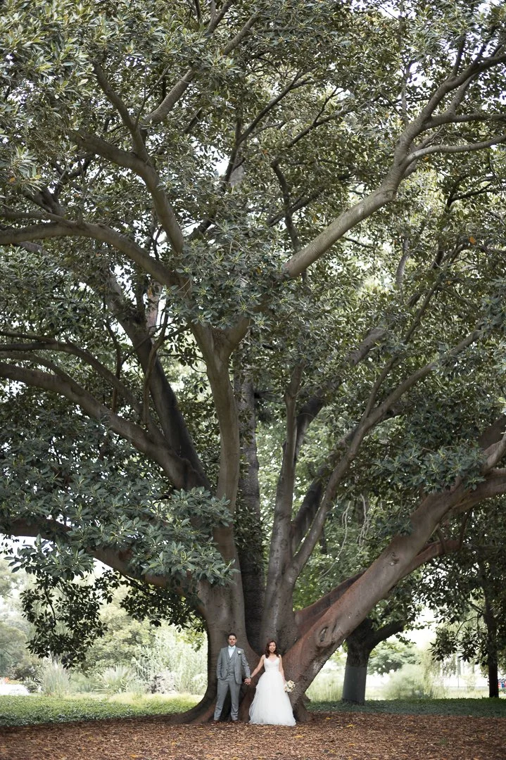 A bride and groom in wedding attire holding hands in front of a large, sprawling tree with thick branches and dense foliage, in a park-like setting.