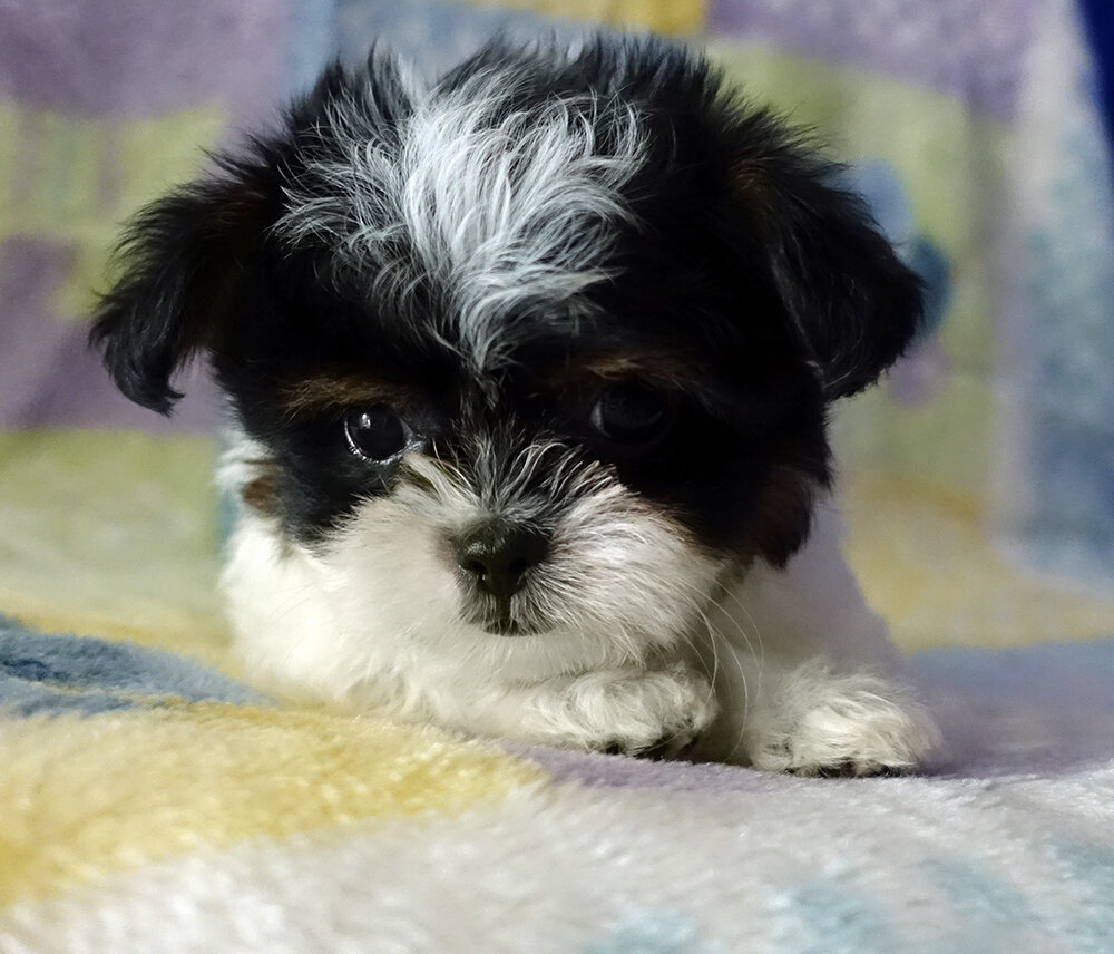 DSC092457UP8Wks-1.jpg
