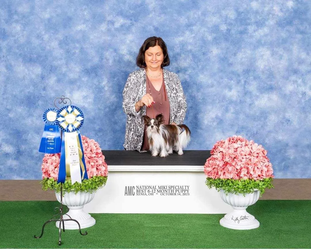 Jennifer Martin_Raya_best-6-12-month-puppy.jpg