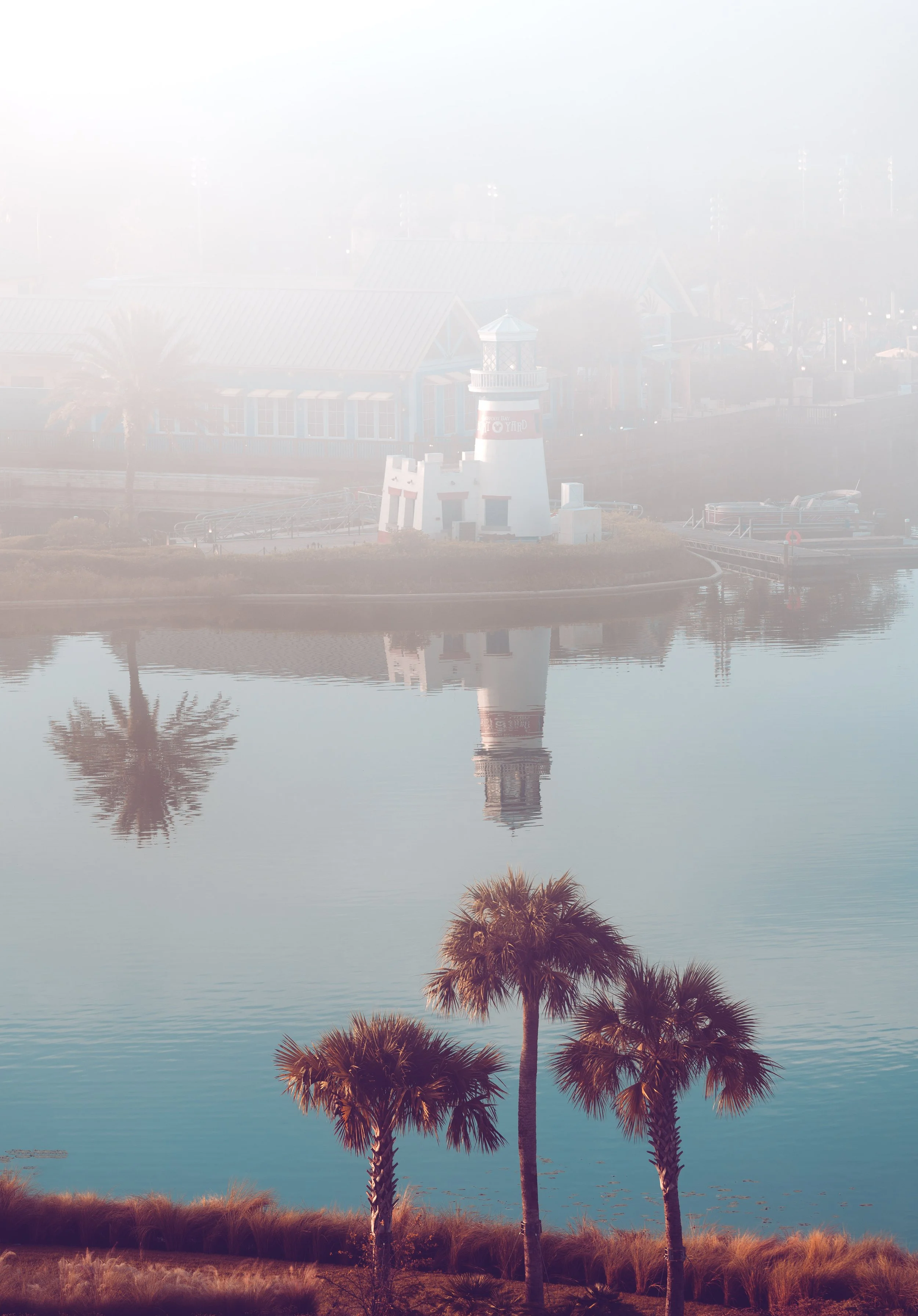 Misty Disney Morning
