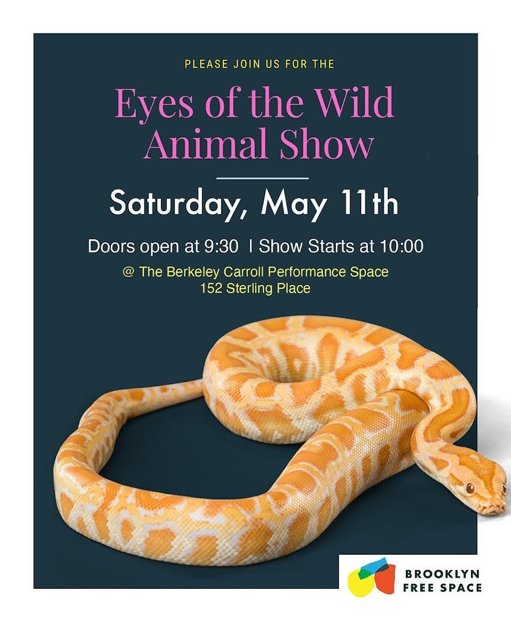 Hedgehogs and armadillos and snakes, oh my! Get into the wild without leaving Brooklyn. 

Join us for Brooklyn Free Space&rsquo;s annual Animal Show, showcasing exotic creatures courtesy of Eyes of the Wild! Secure your spot by prepaying through Venm