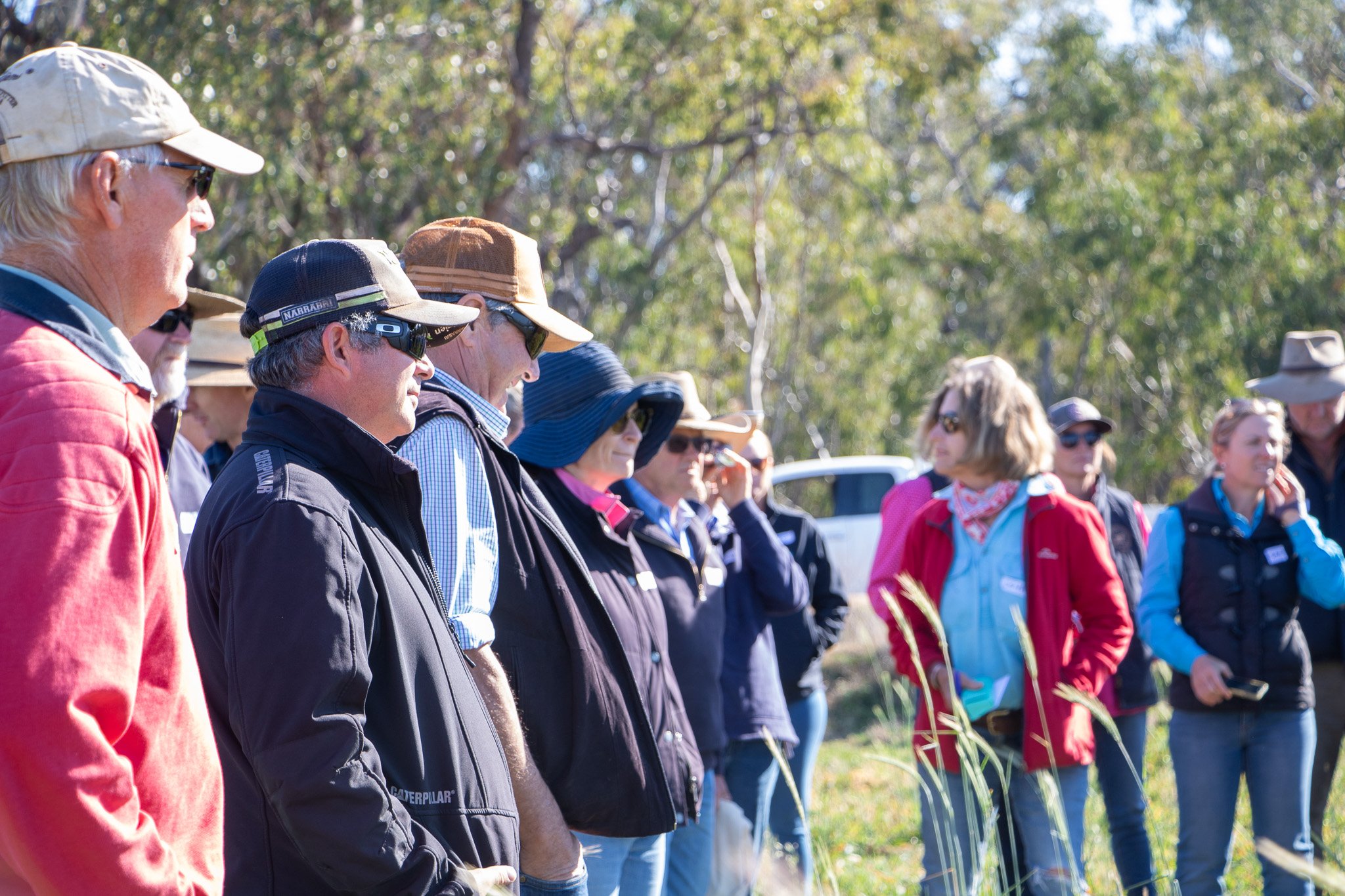 crowd in field.jpg