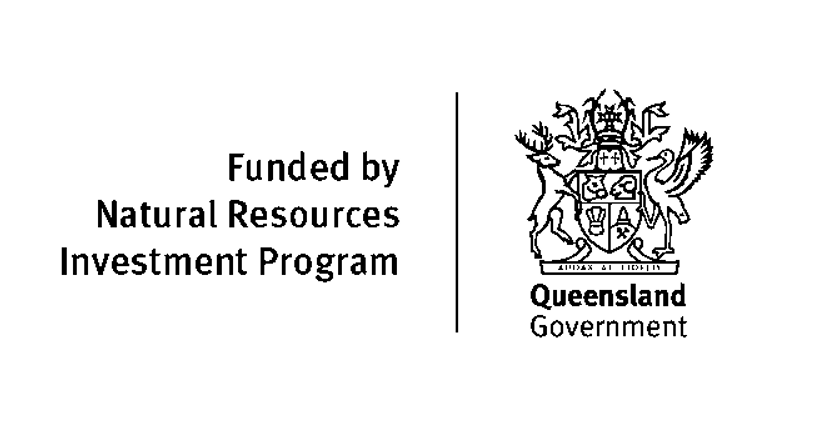 Natural Resources Investment Program Logo.png