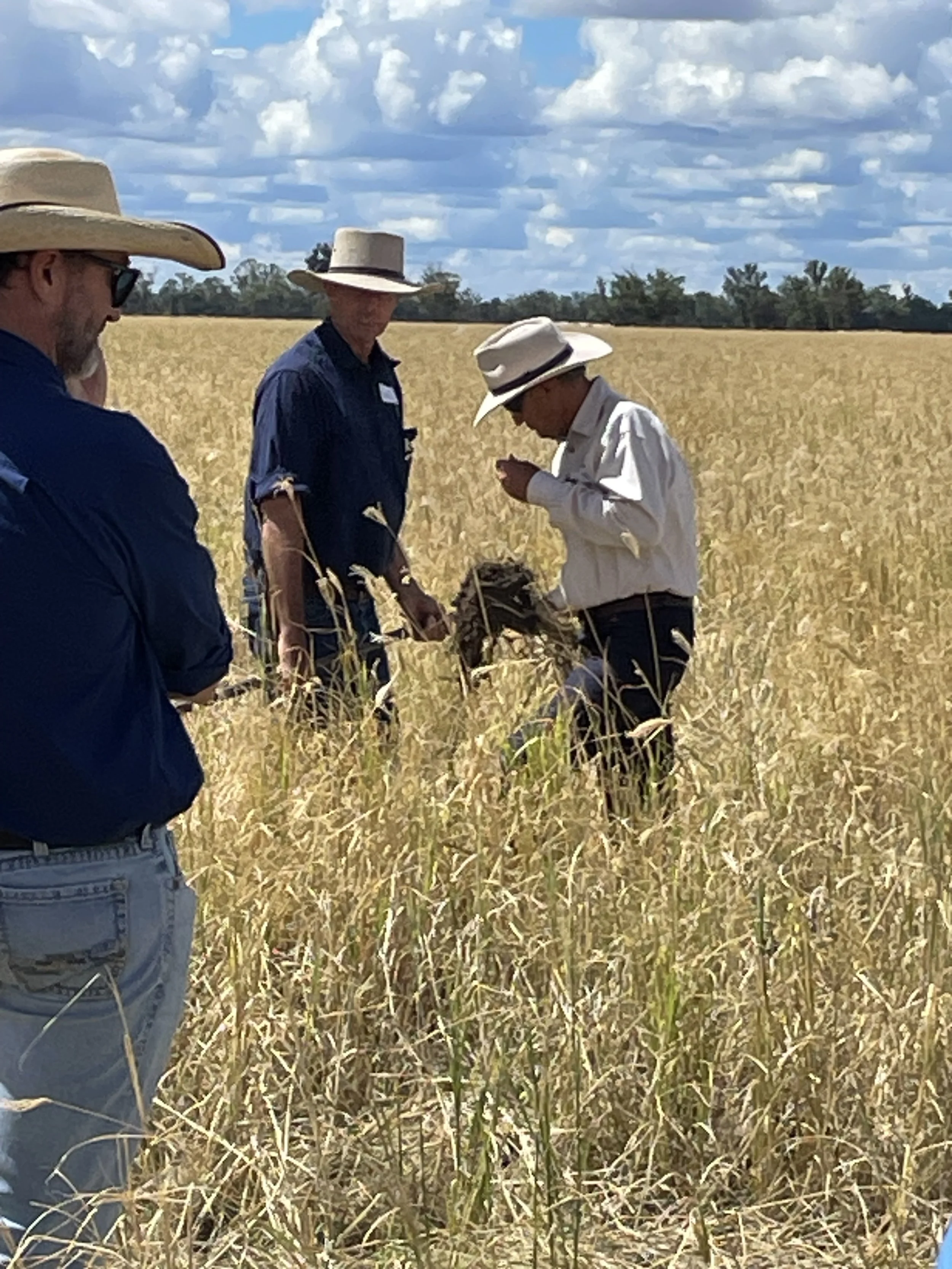 Tom Archer and Trevor Rissmann.jpeg