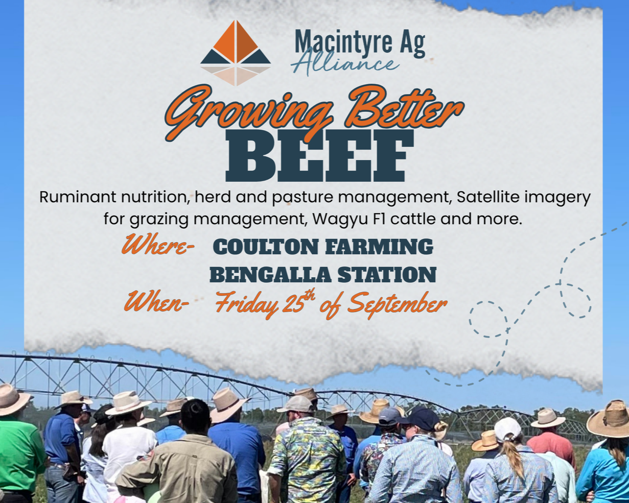 Growing Better Beef