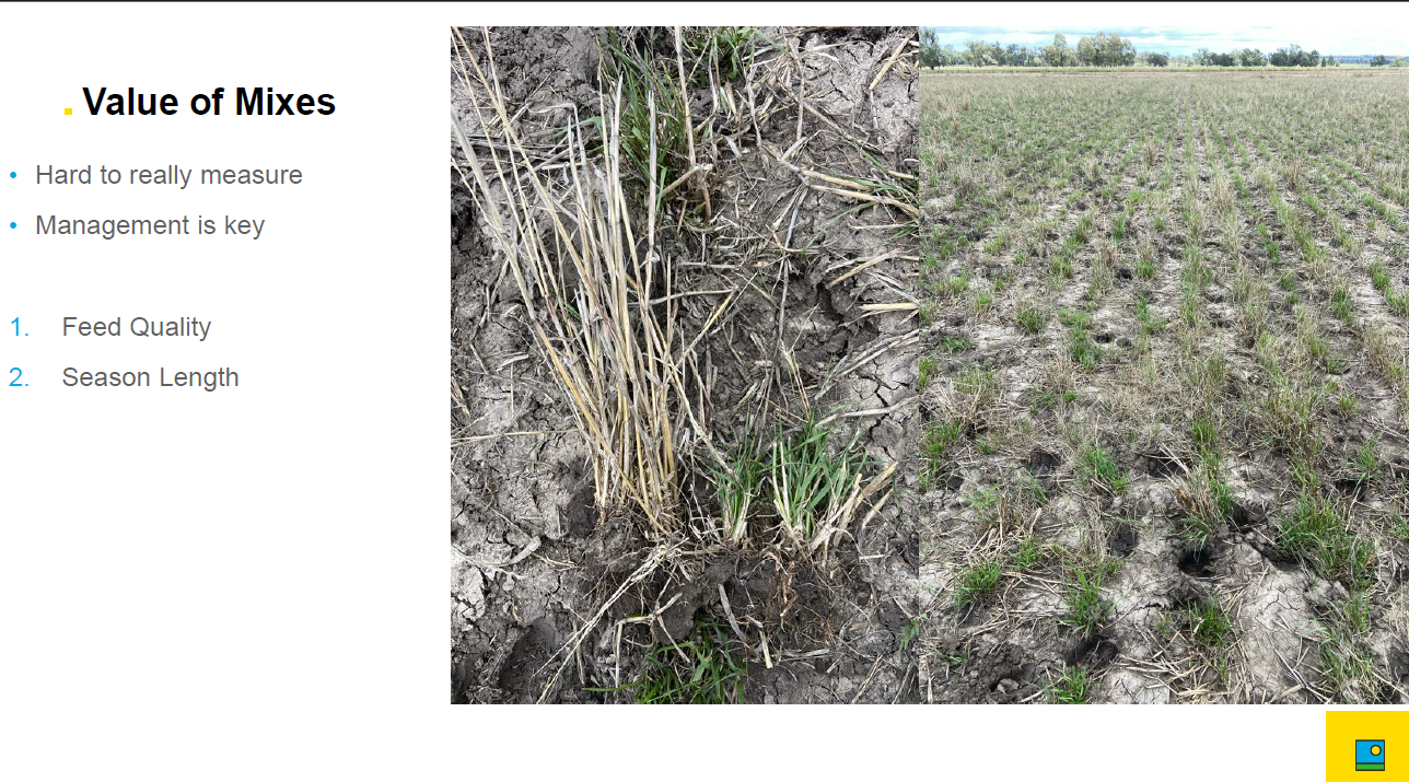 Marty62.png