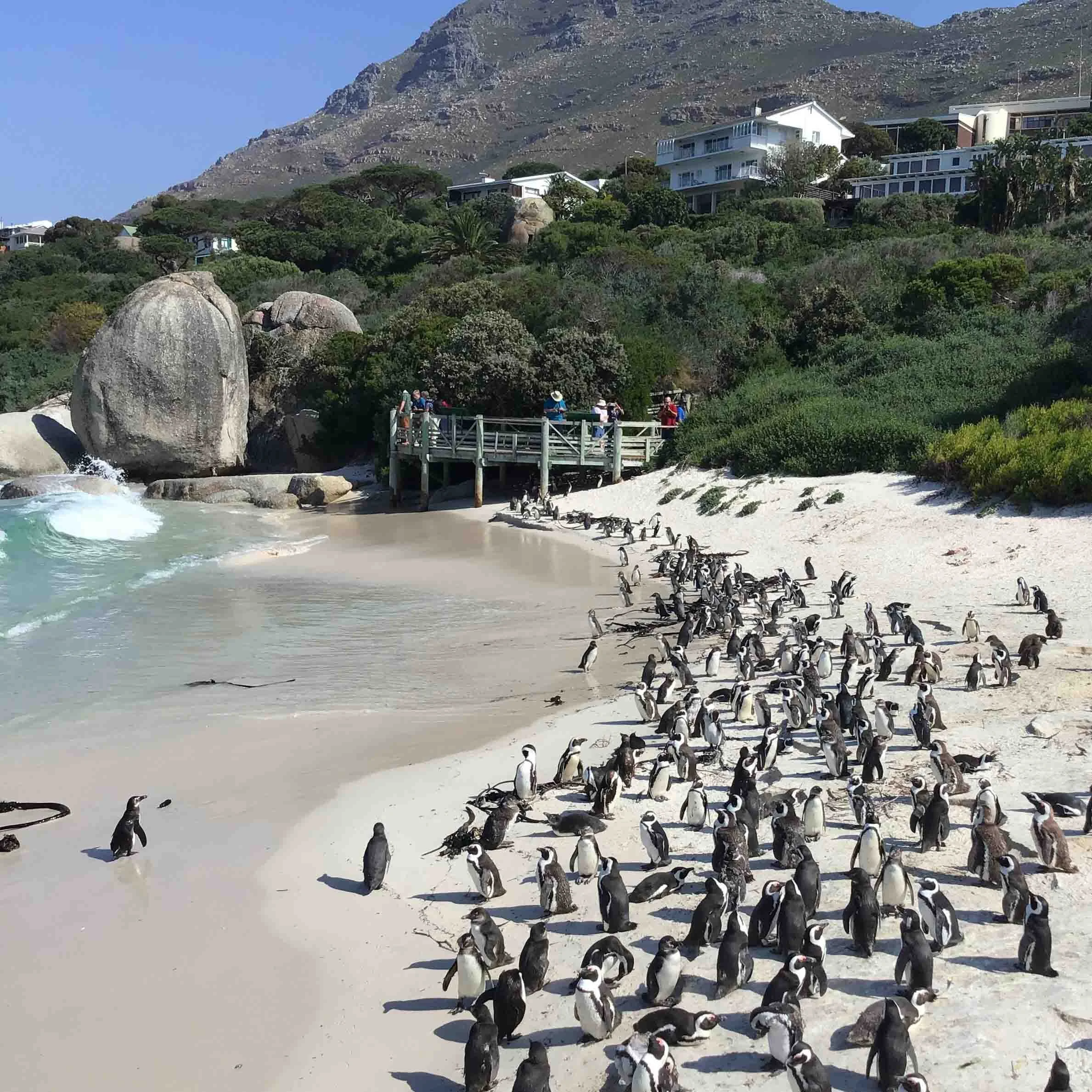 lightroom beach-23.jpg