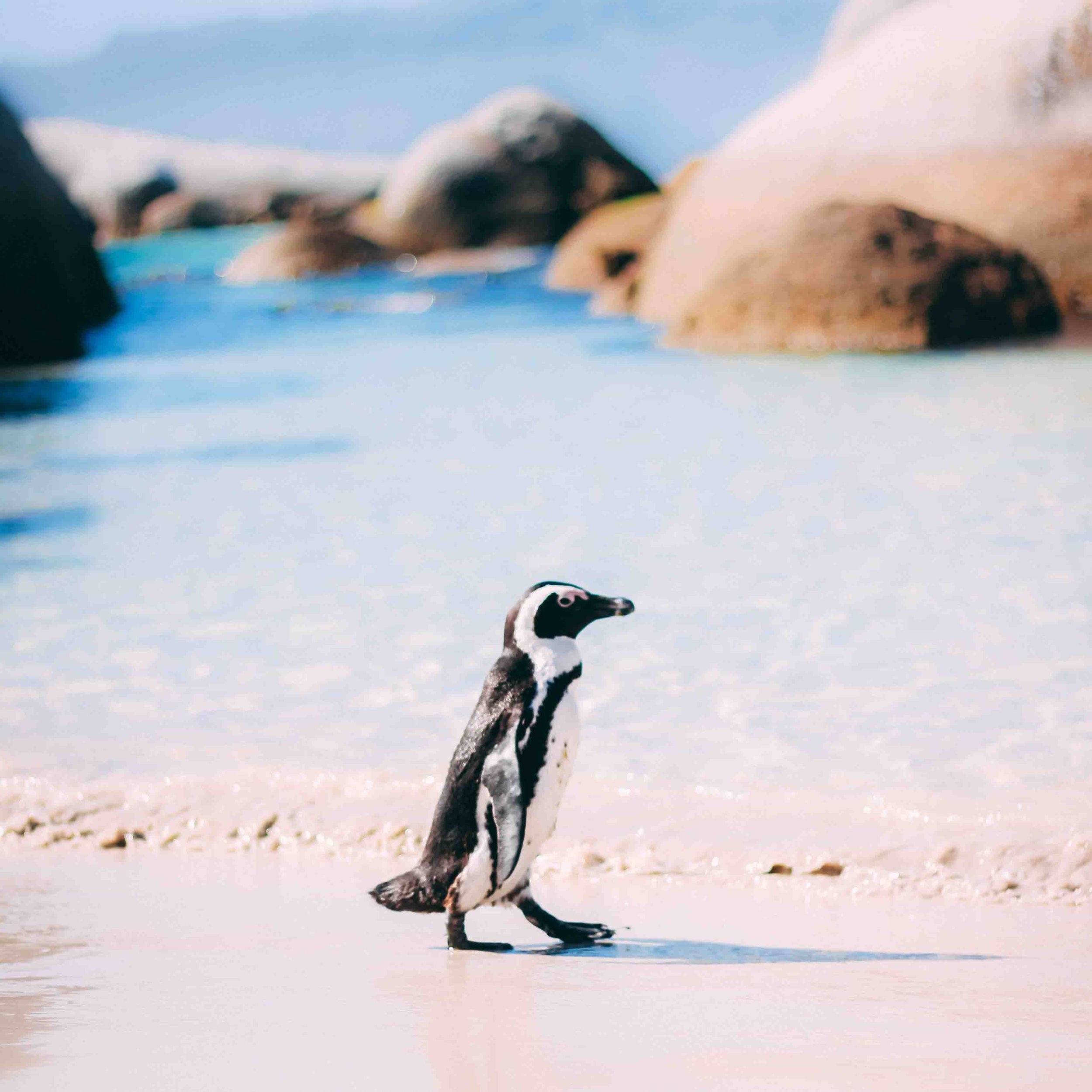 lightroom beach-28.jpg