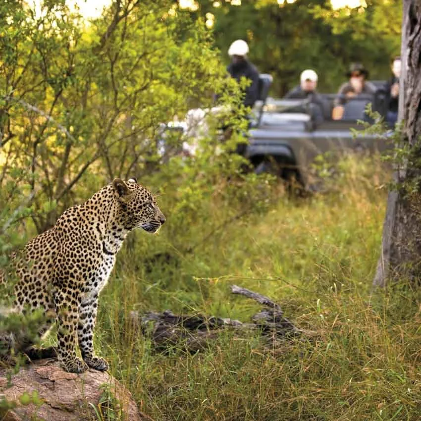 edited lightroom safari days-13.jpg