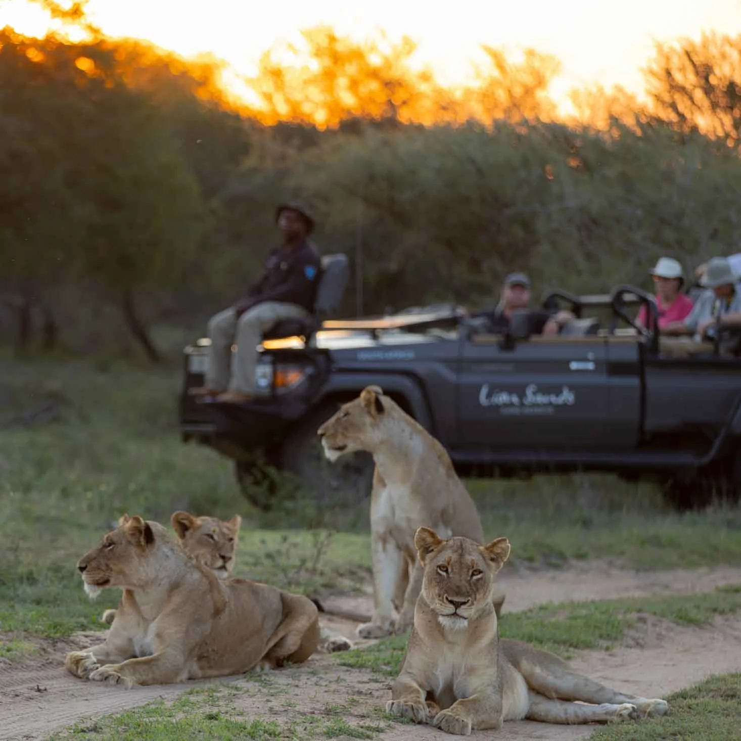 edited lightroom safari days-22.jpg