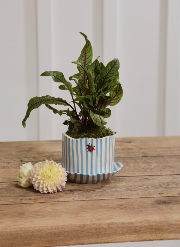 Screen Shot 2026-03-05 at 10.38.51 AM.png