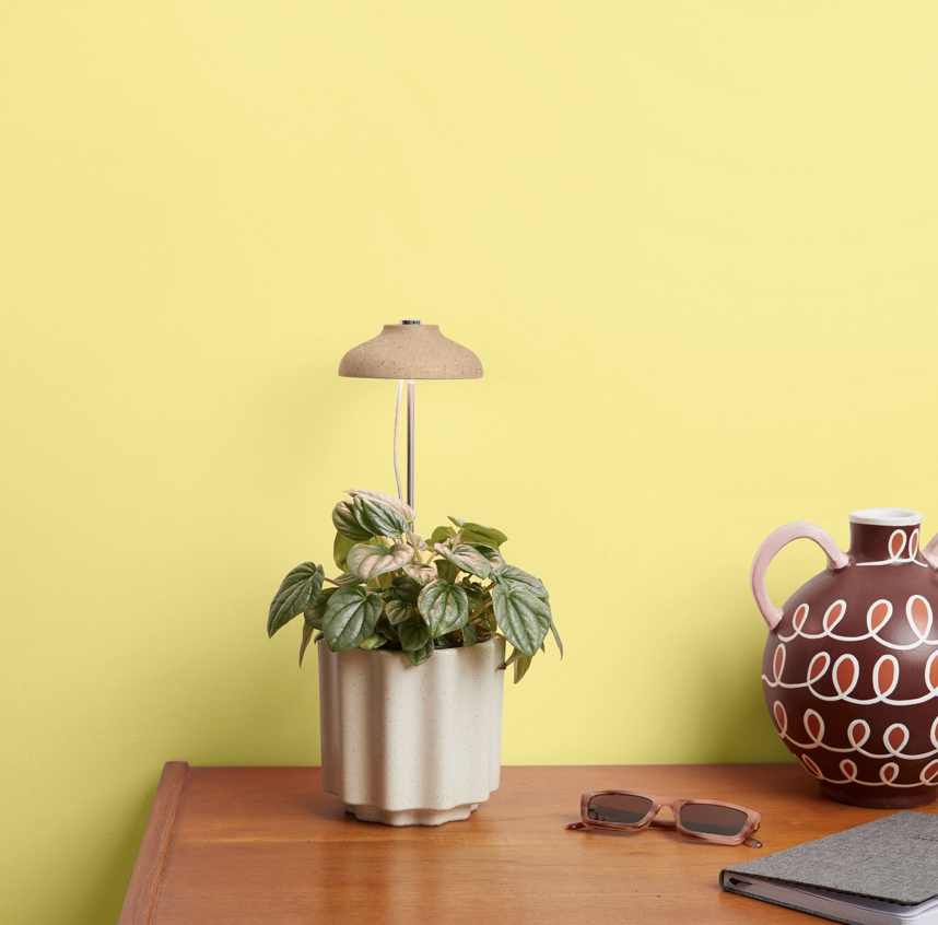 Screen Shot 2025-11-30 at 8.18.46 AM.png